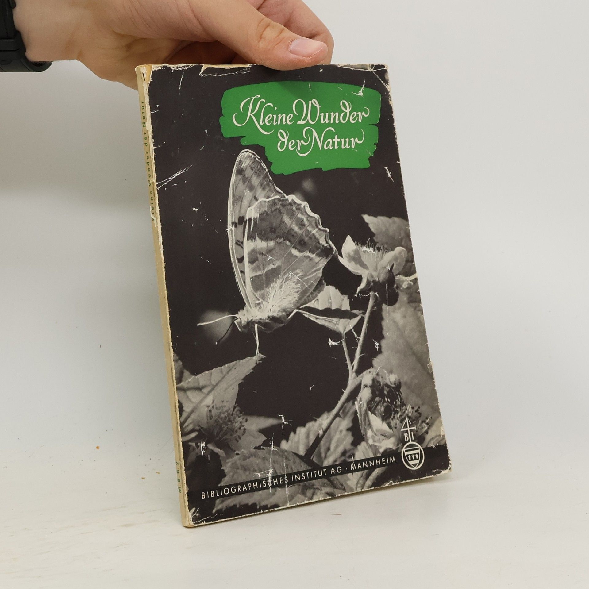 Collectif d'auteurs Kleine Wunder der Natur