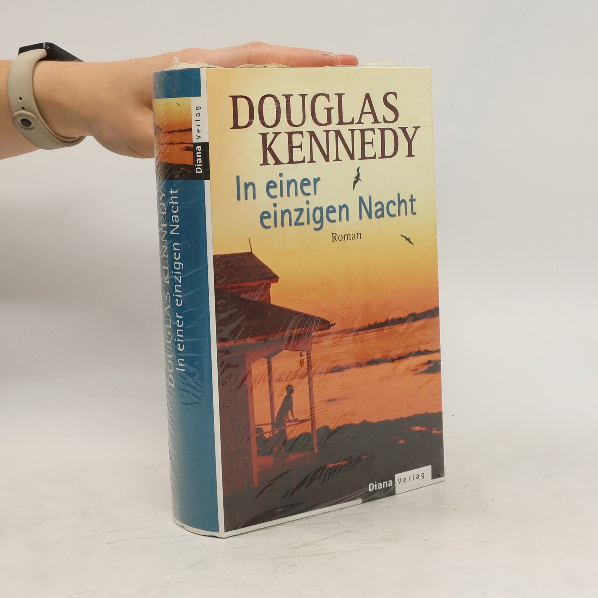 Douglas Kennedy In einer einzigen Nacht
