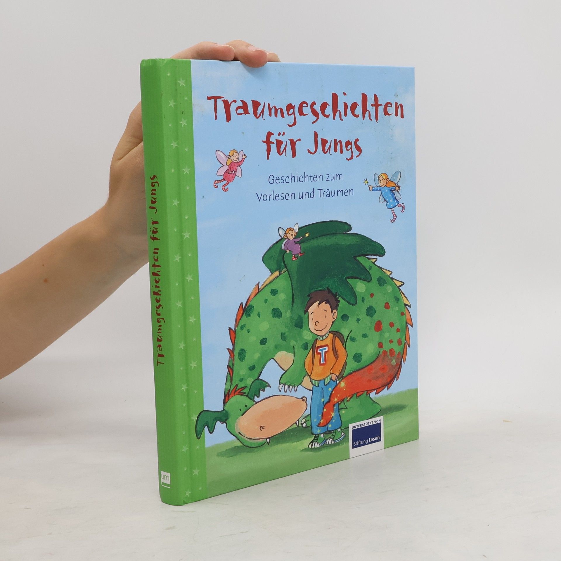 Collectif d'auteurs Traumgeschichten für Jungs