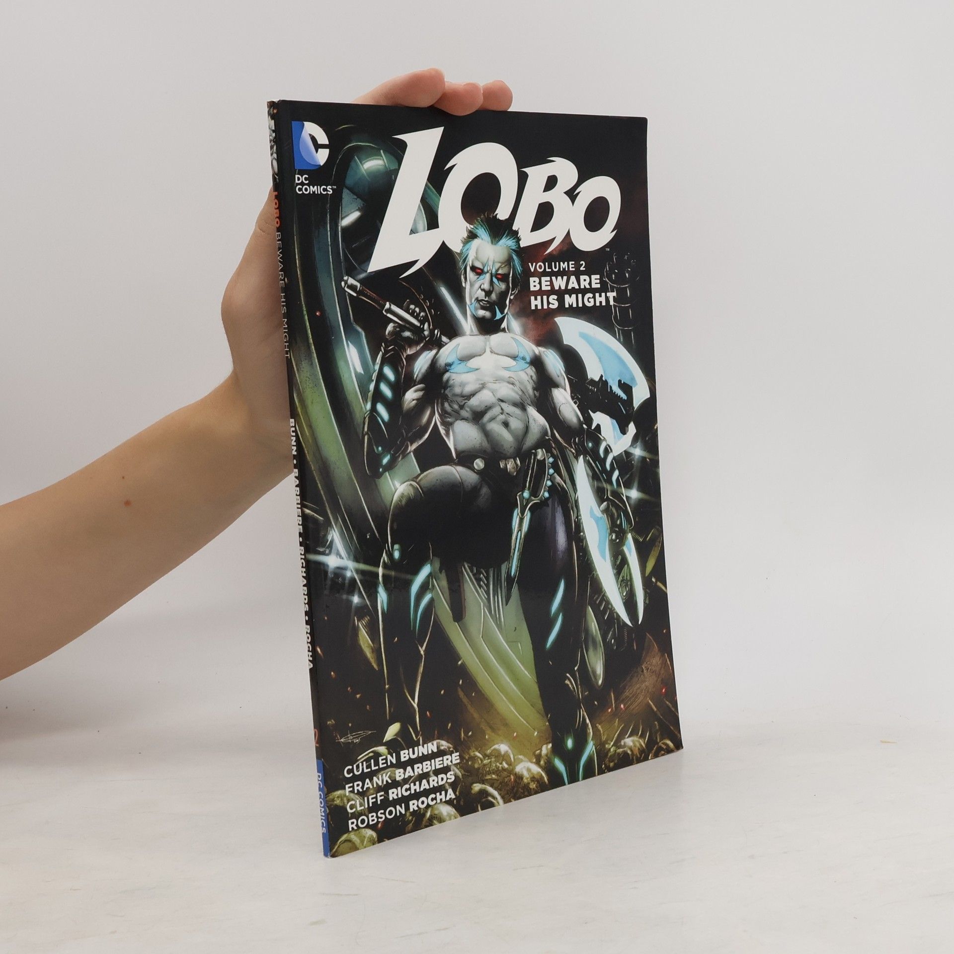 kolektiv Lobo 2