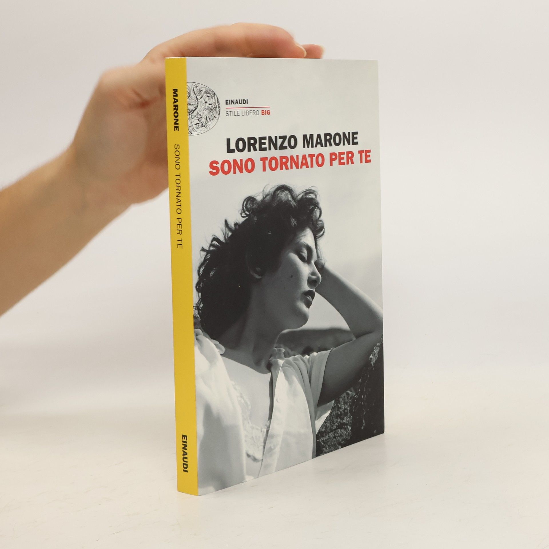 Lorenzo Marone Sono tornato per te