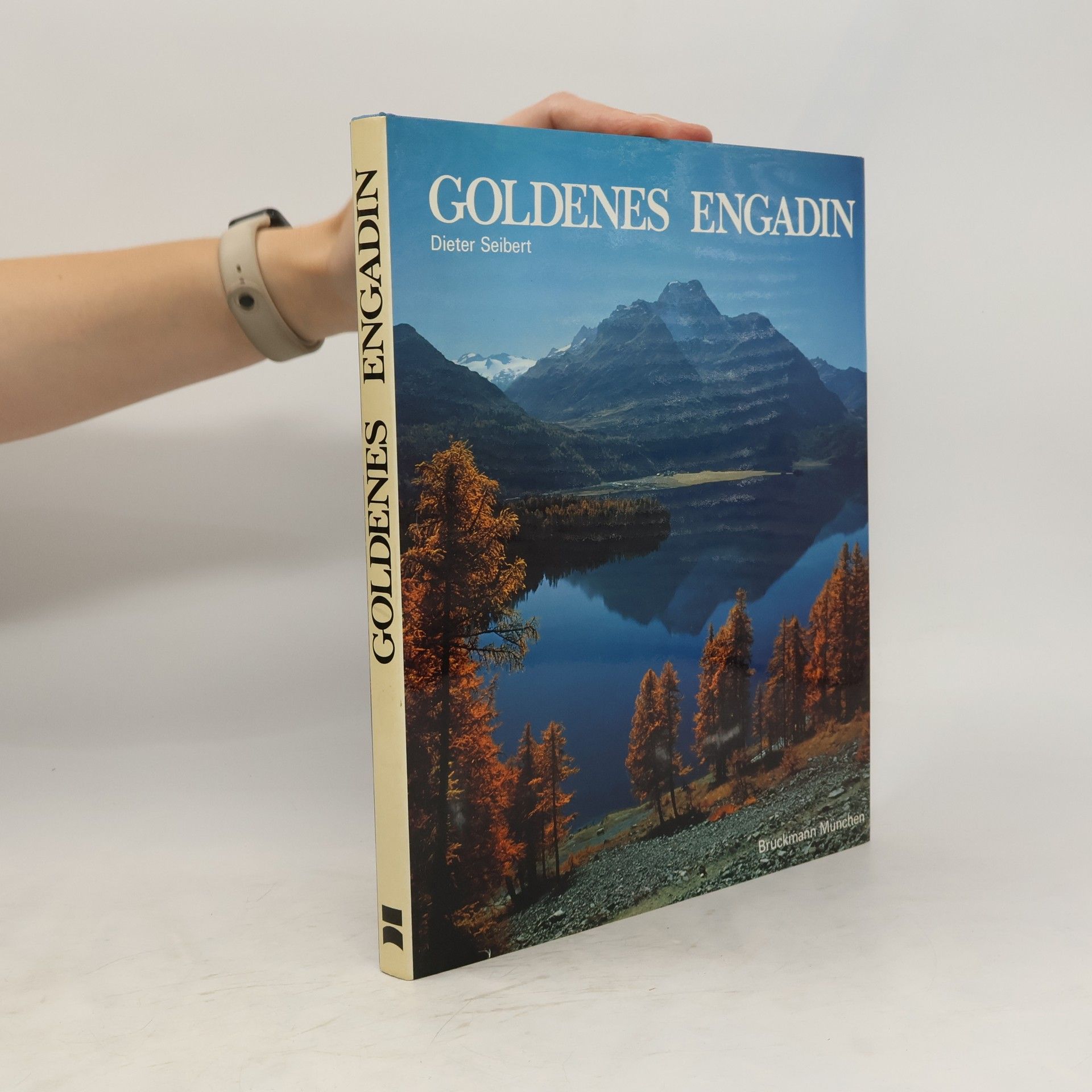 Dieter Seibert Goldenes Engadin
