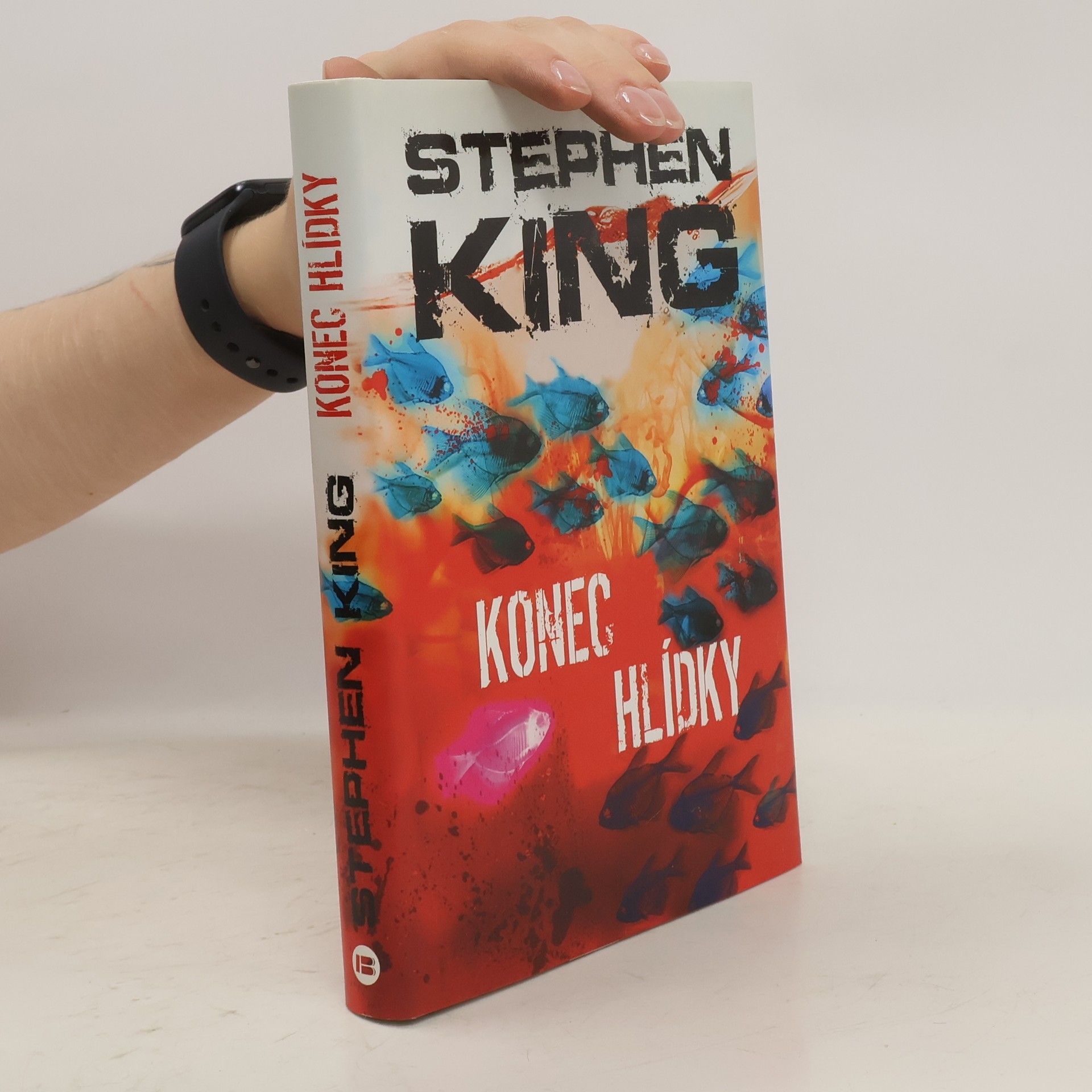 Stephen King Konec hlídky
