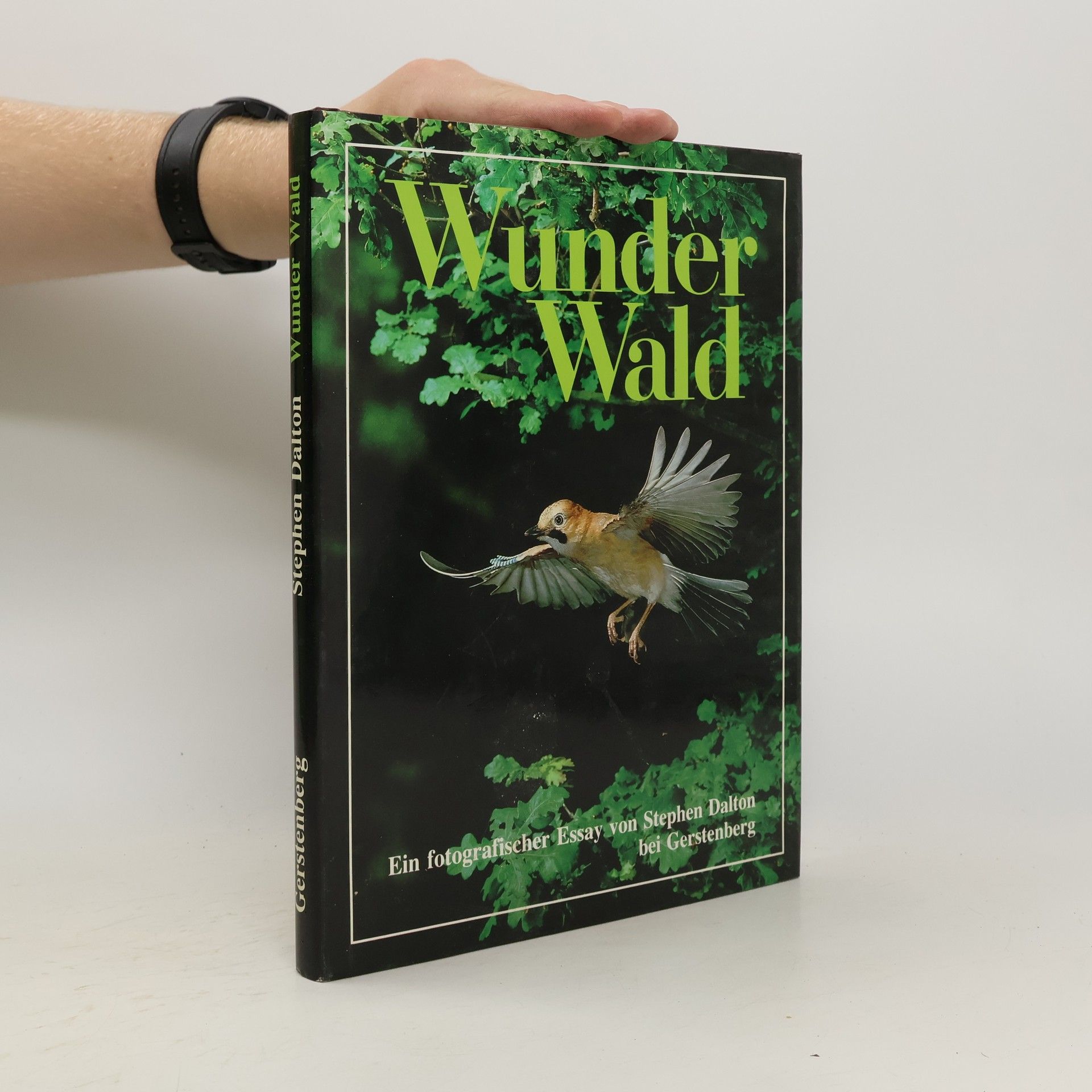 Stephen Dalton Wunder Wald