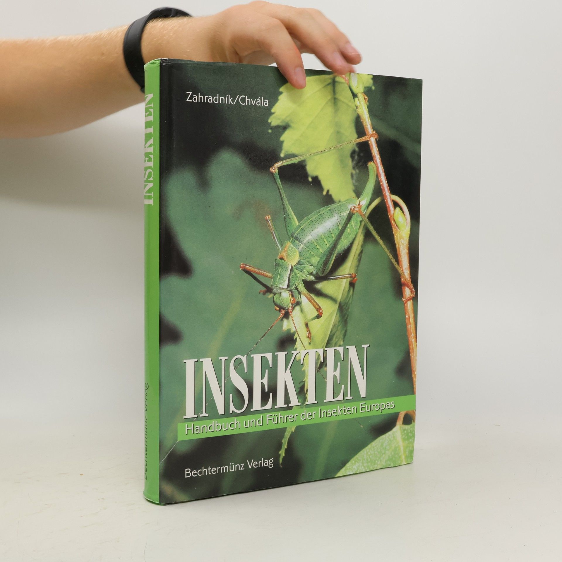 Autorenkollektiv Insekten