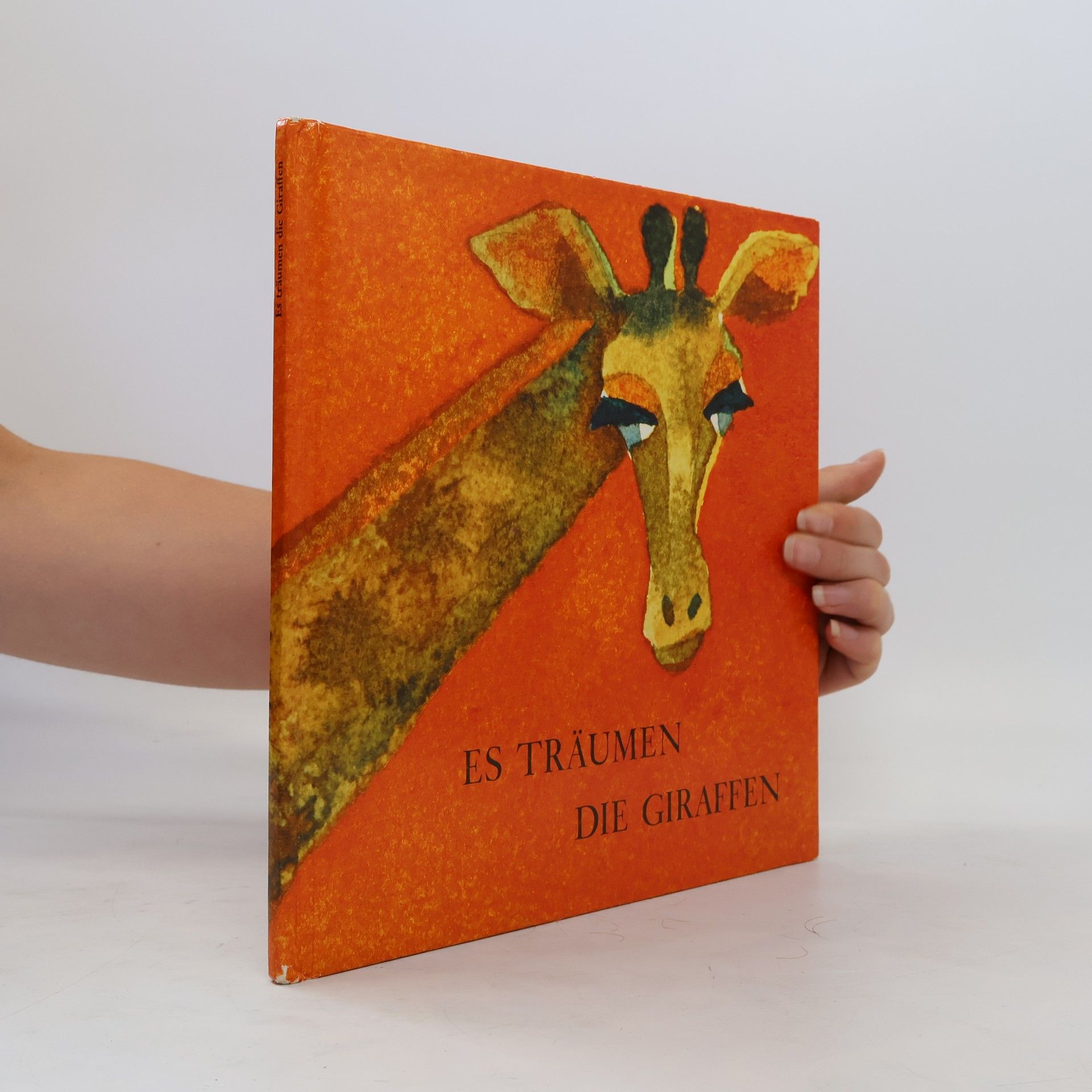Autorenkollektiv Es träumen die Giraffen