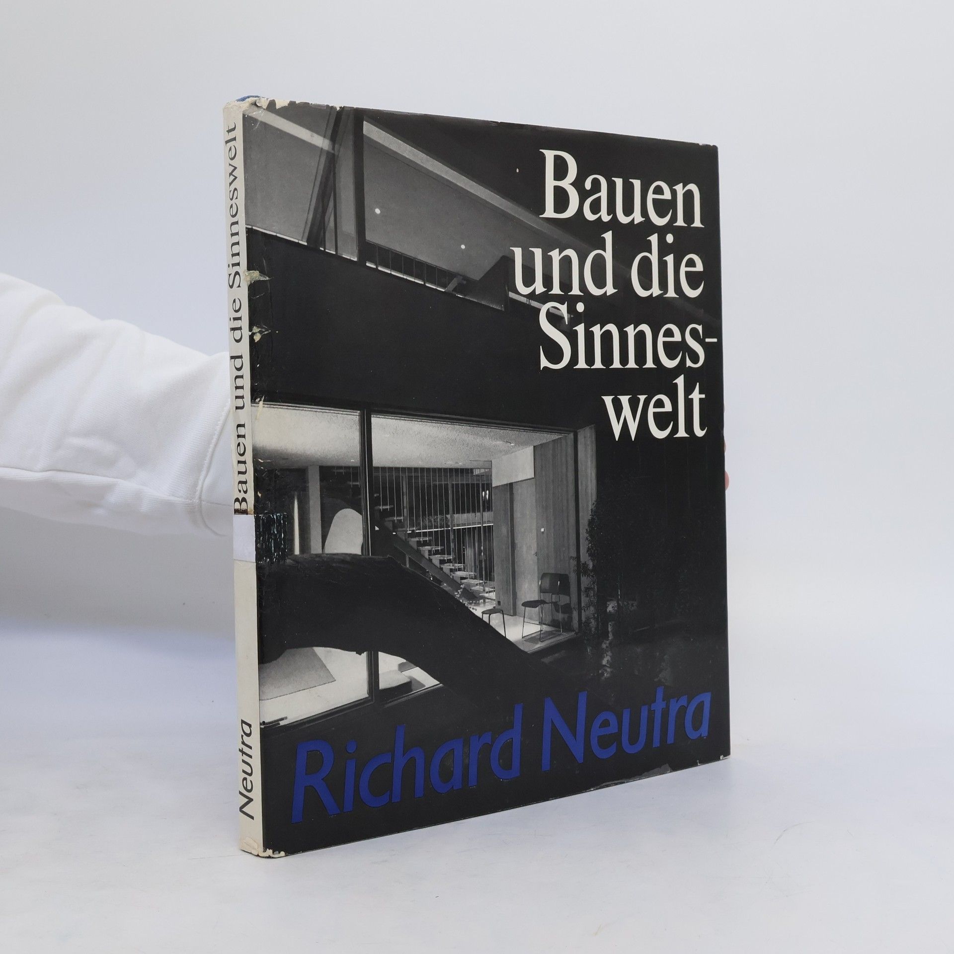 Richard Joseph Neutra Bauen und die Sinneswelt