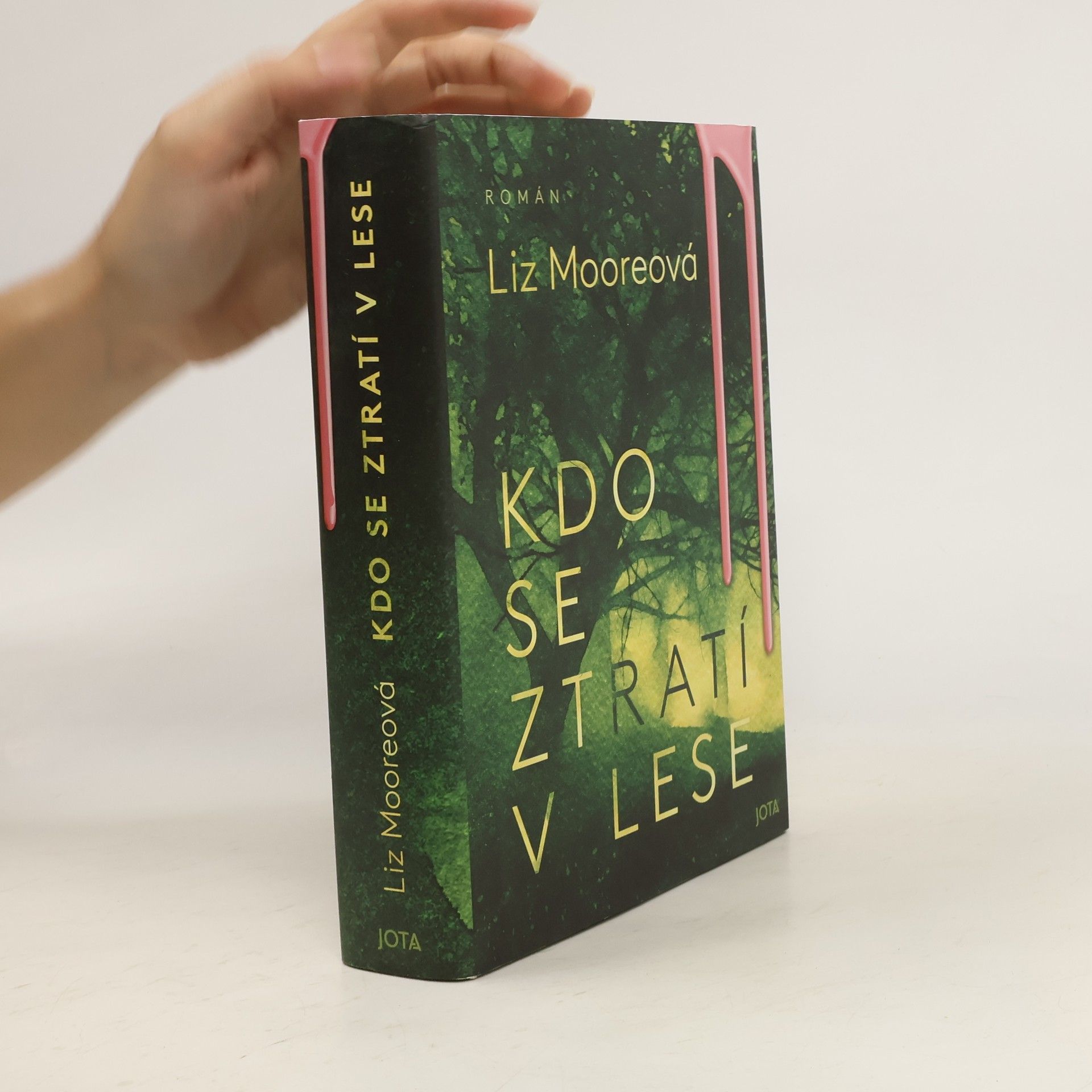 Liz Moore Kdo se ztratí v lese