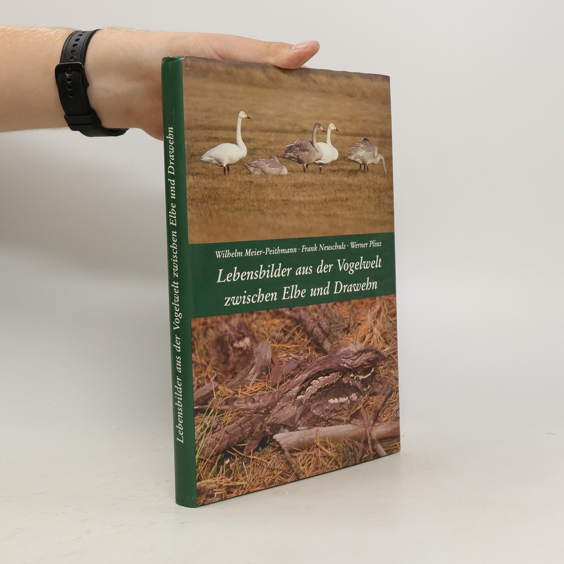 Wilhelm Meier Peithmann Lebensbilder aus der Vogelwelt zwischen Elbe und Drawehn