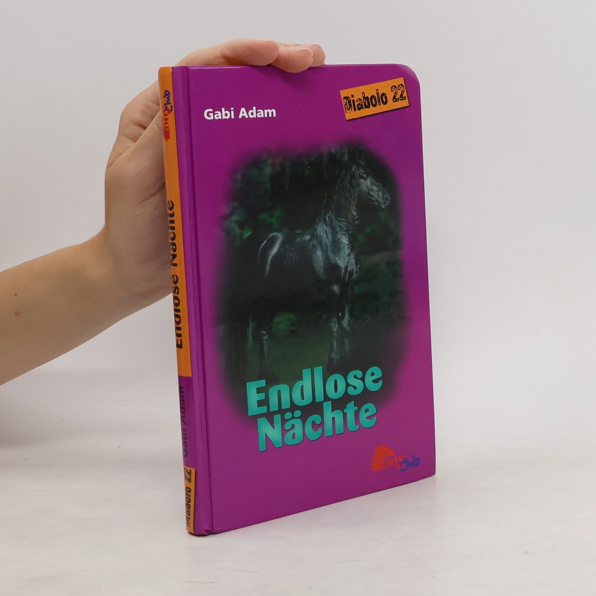 Gabi Adam Endlose Nächte (Diablo #22)