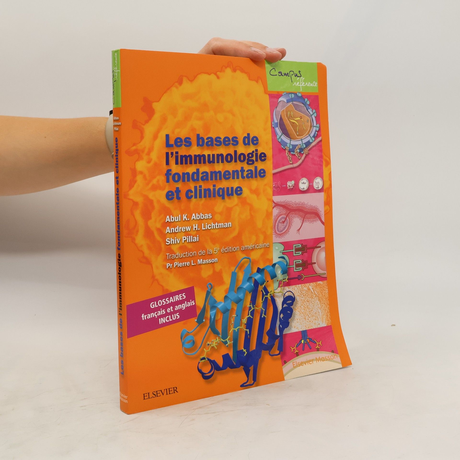 Collectif d'auteurs Les bases de l'immunologie fondamentale et clinique