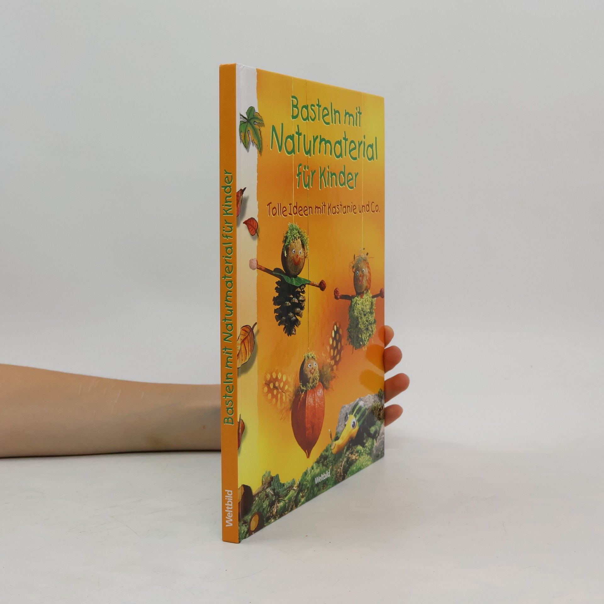 Ursula Ritter Basteln mit Naturmaterial für Kinder