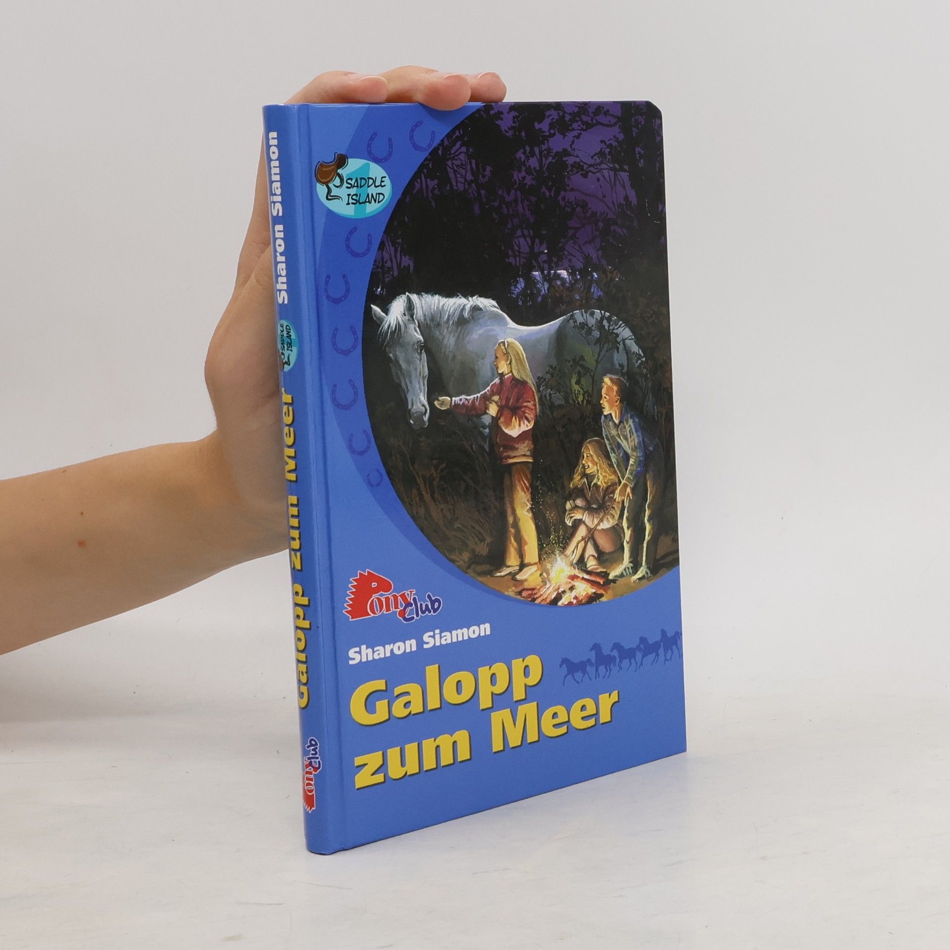 Sharon Siamon Galopp zum Meer 1