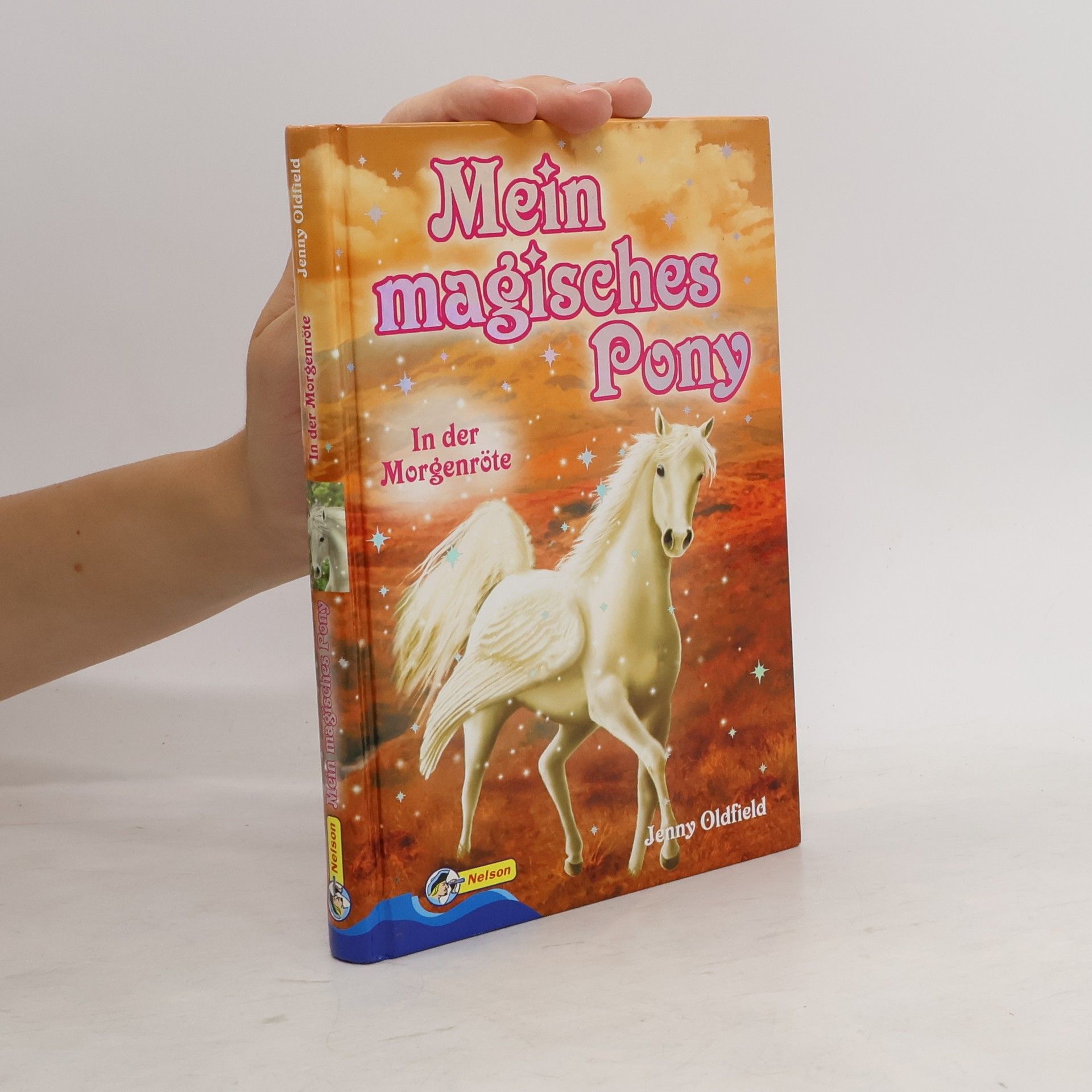 Jenny Oldfield Mein magisches Pony 6