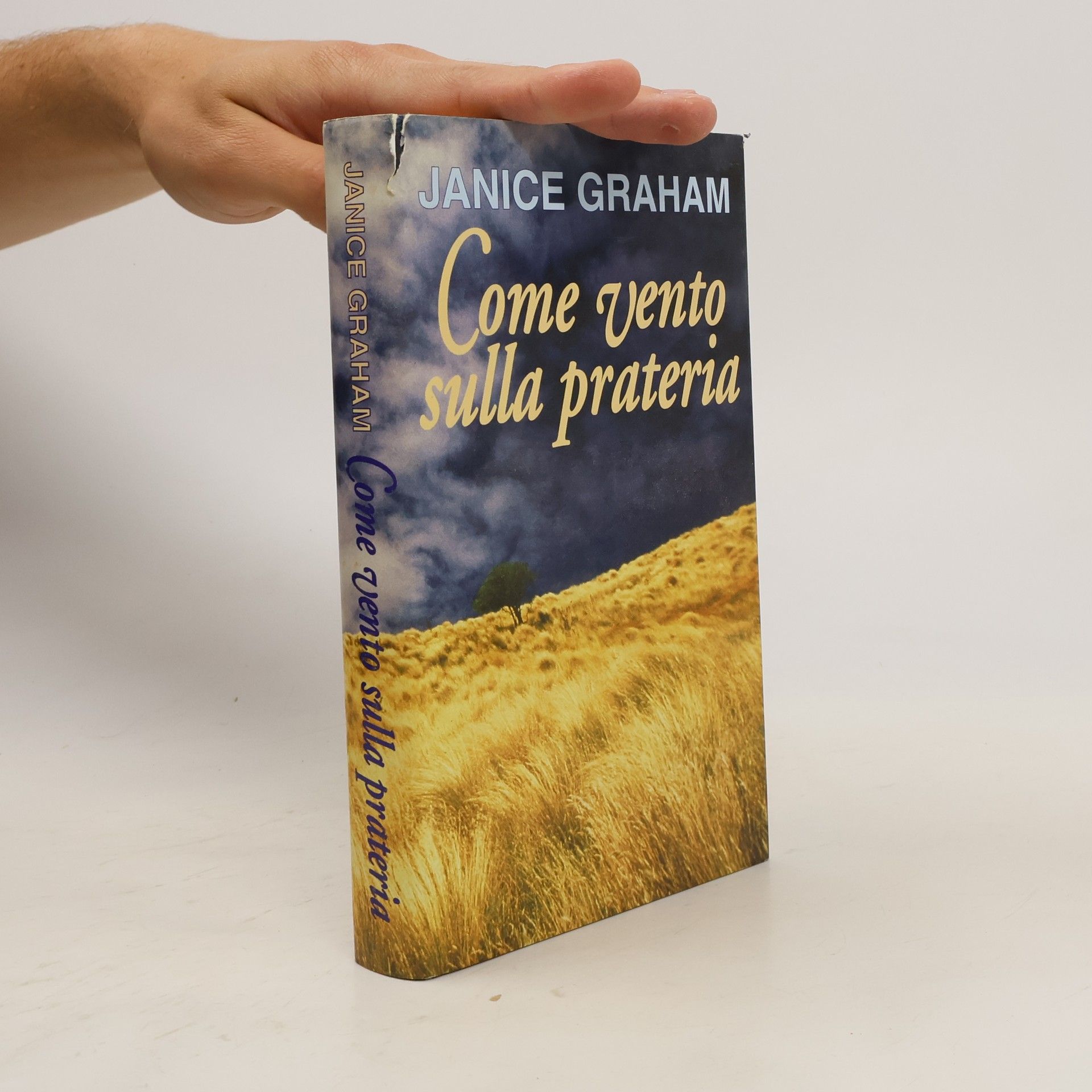 Janice Graham Come vent sulla prateria