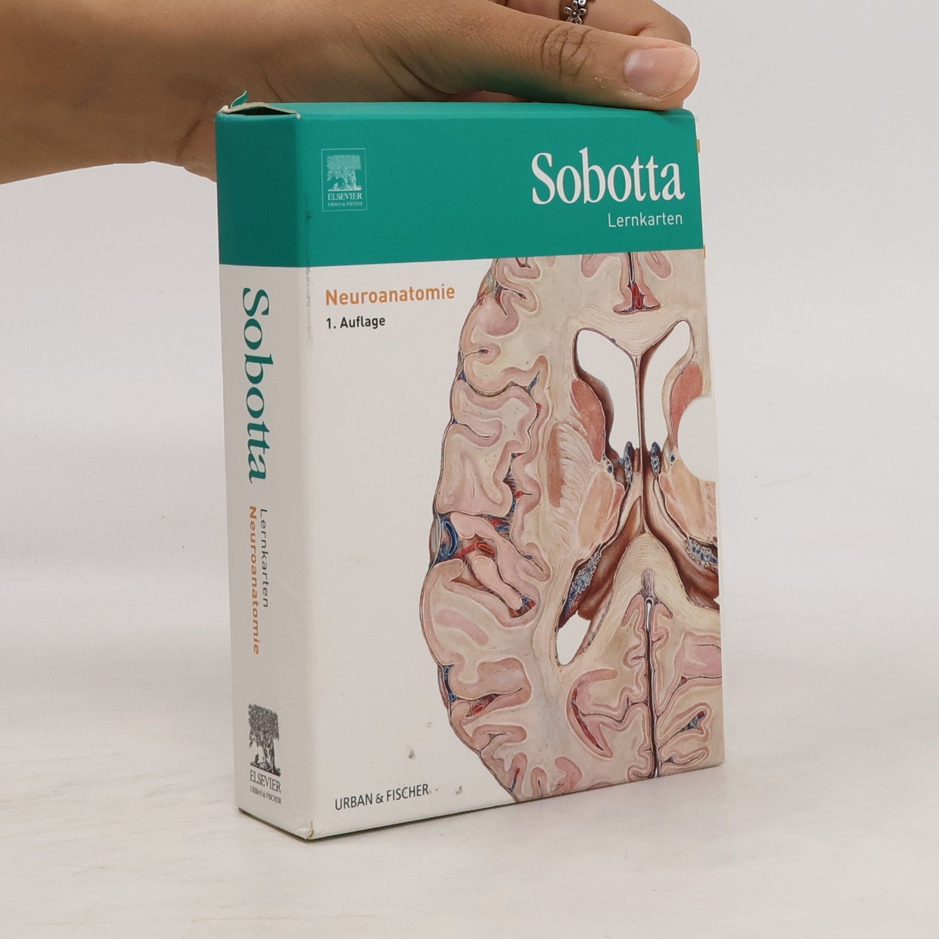 Lars Bräuer Sobotta Lernkarten Neuroanatomie