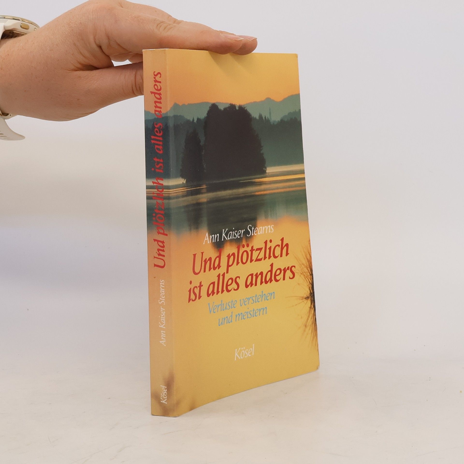 Ann Kaiser Stearns Und plötzlich ist alles anders