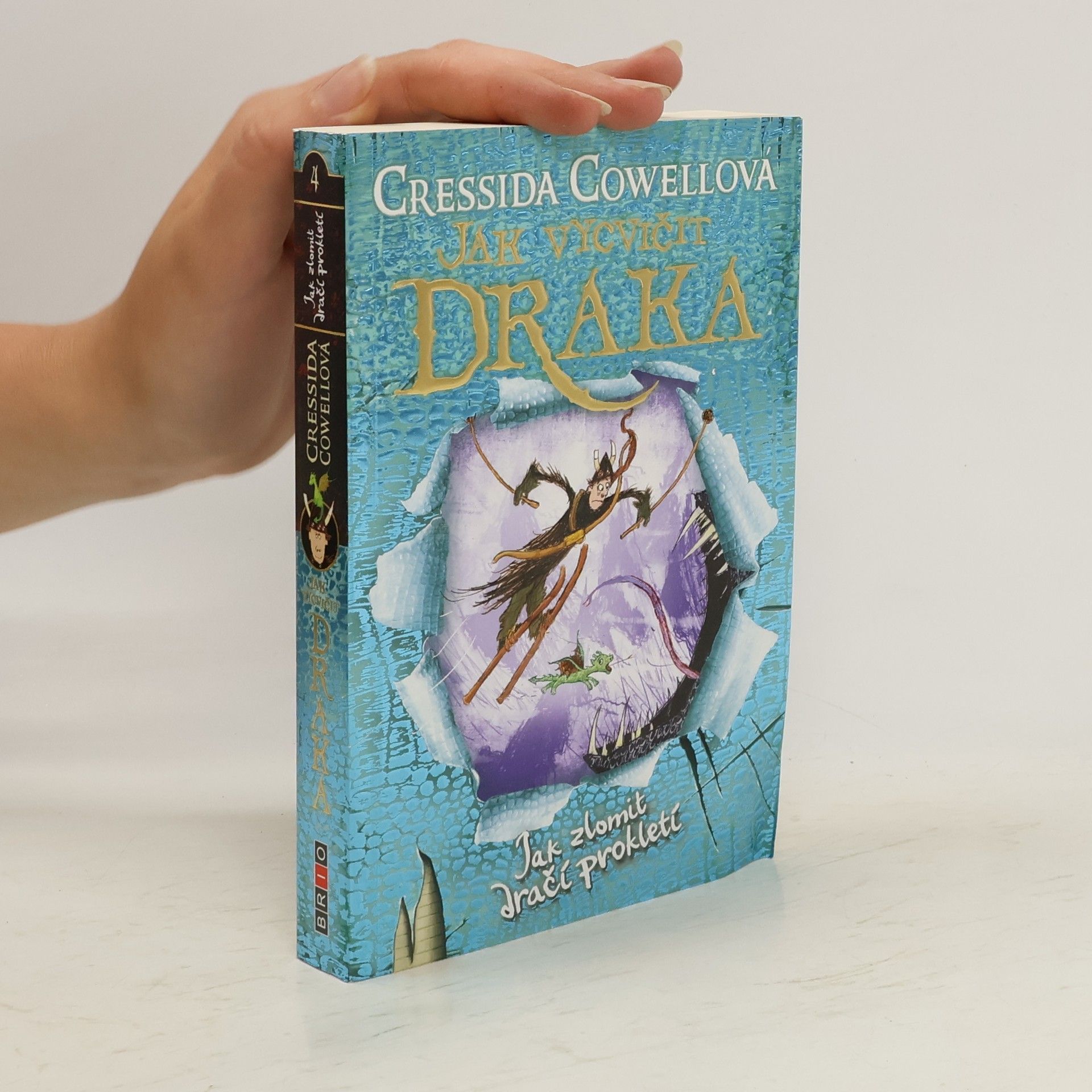 Cressida Cowell Jak zlomit dračí prokletí (Škyťák Šelmovská Štika III.) 4