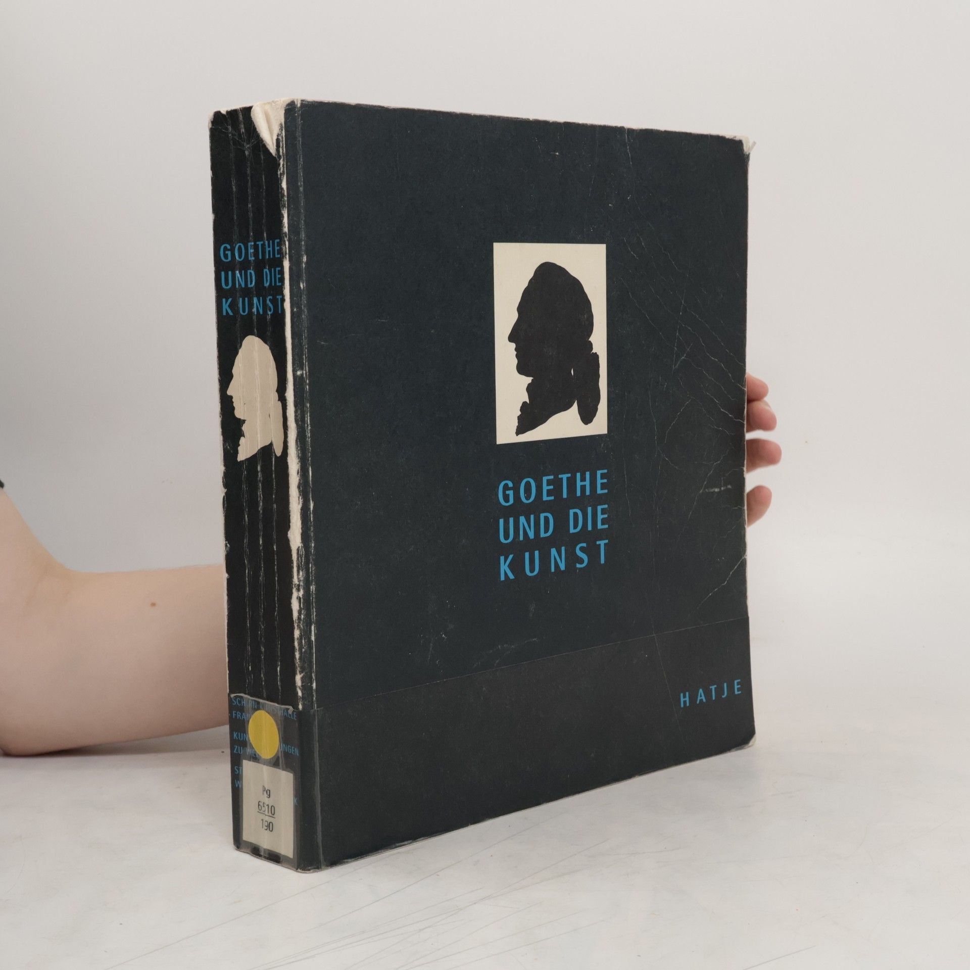 Sabine Schulze Goethe und die Kunst