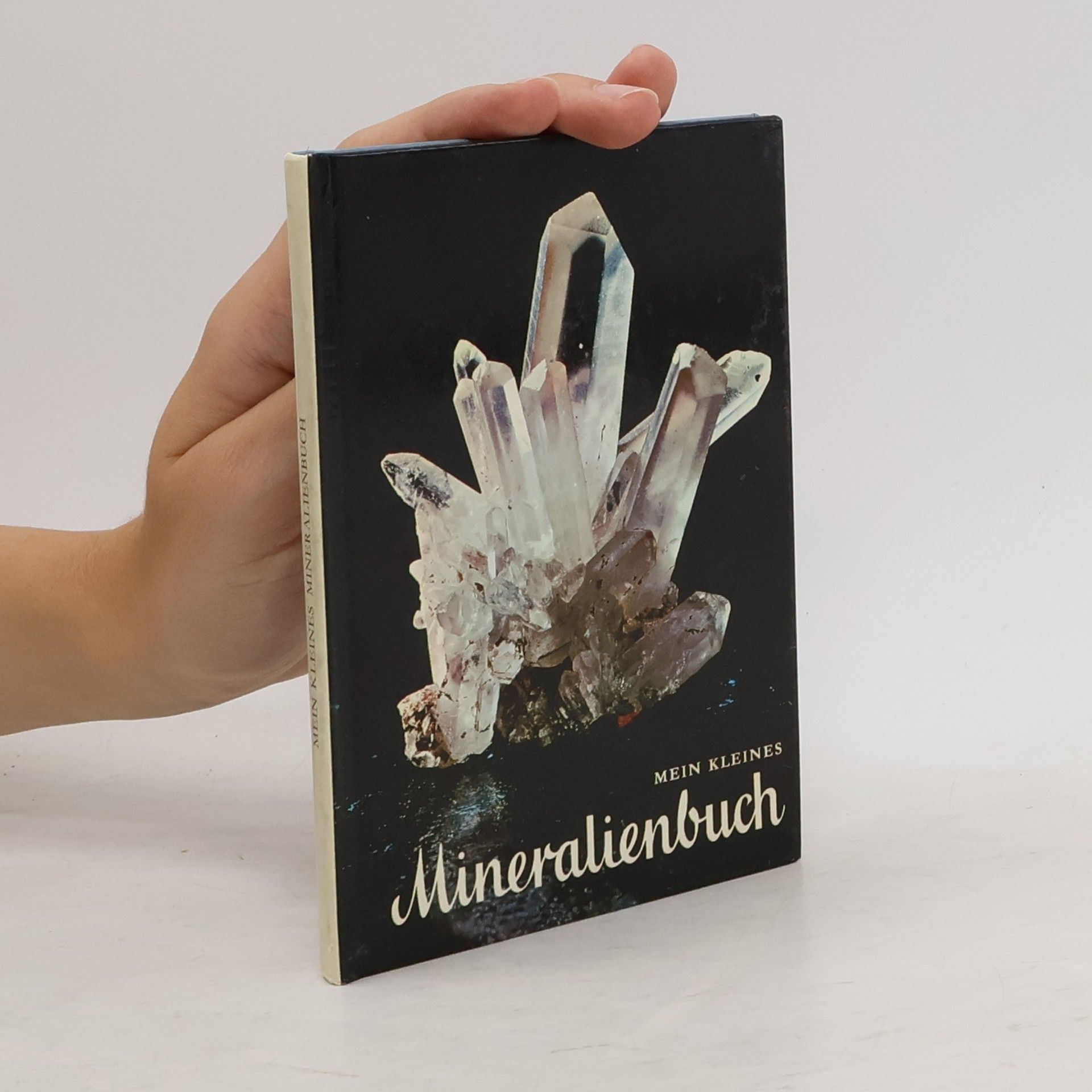 Collective Mein kleines Mineralienbuch