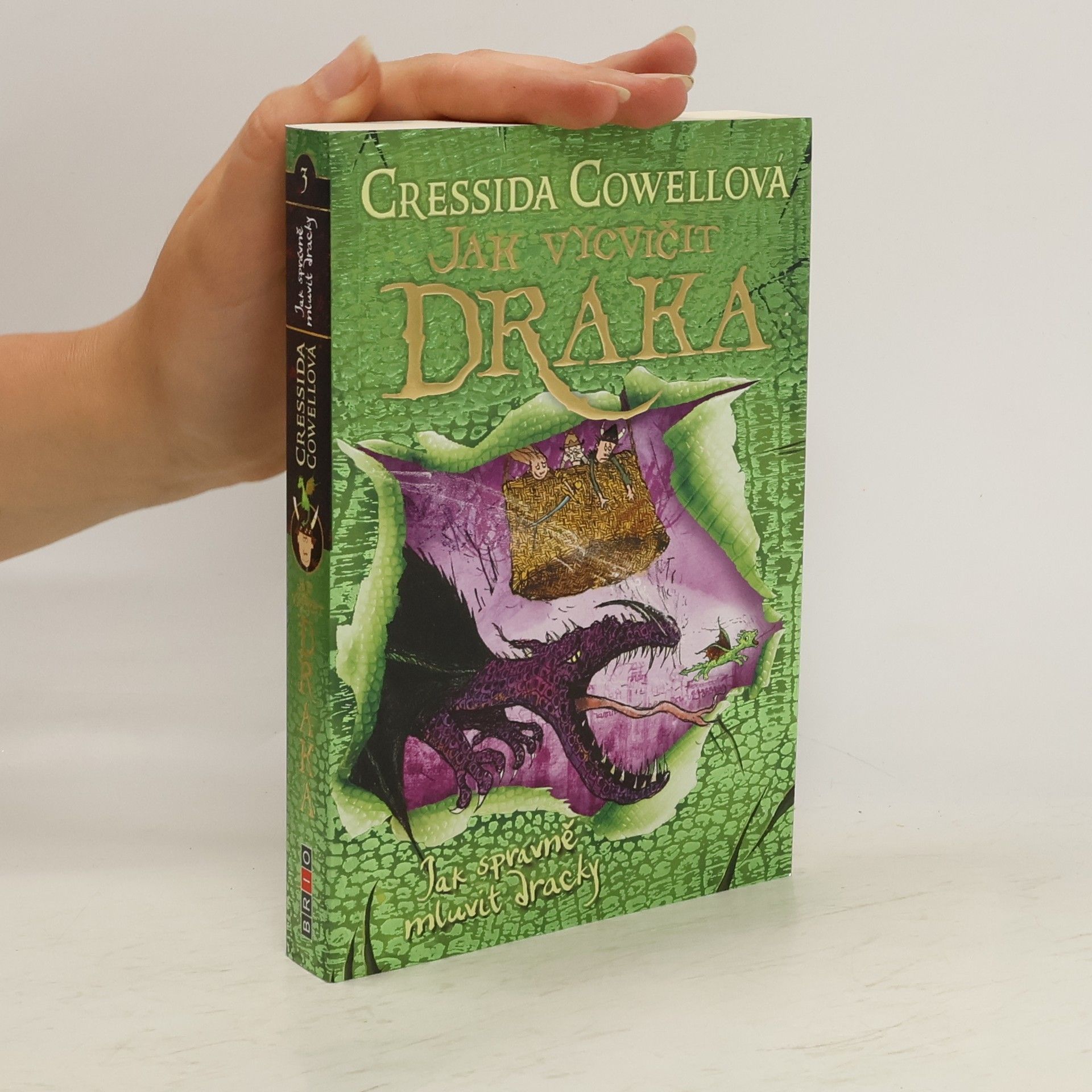 Cressida Cowell Jak správně mluvit dracky