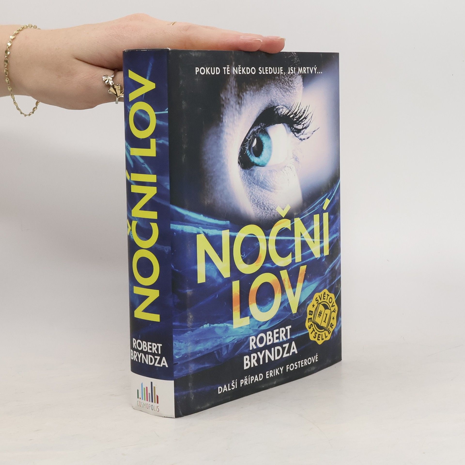 Robert Bryndza Noční lov
