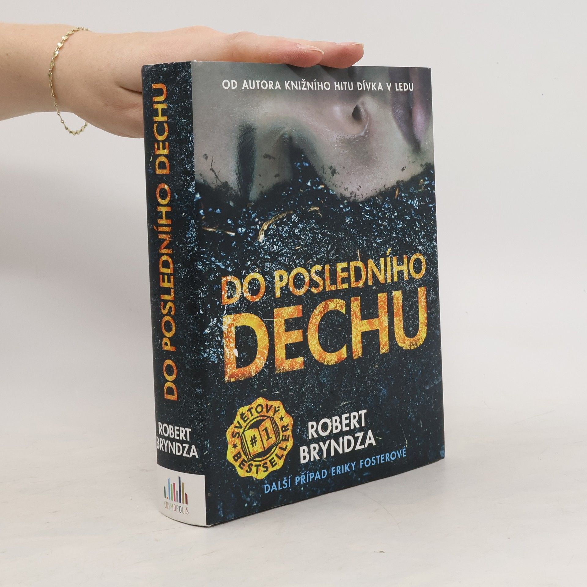 Robert Bryndza Do posledního dechu. Další případ Eriky Fosterové