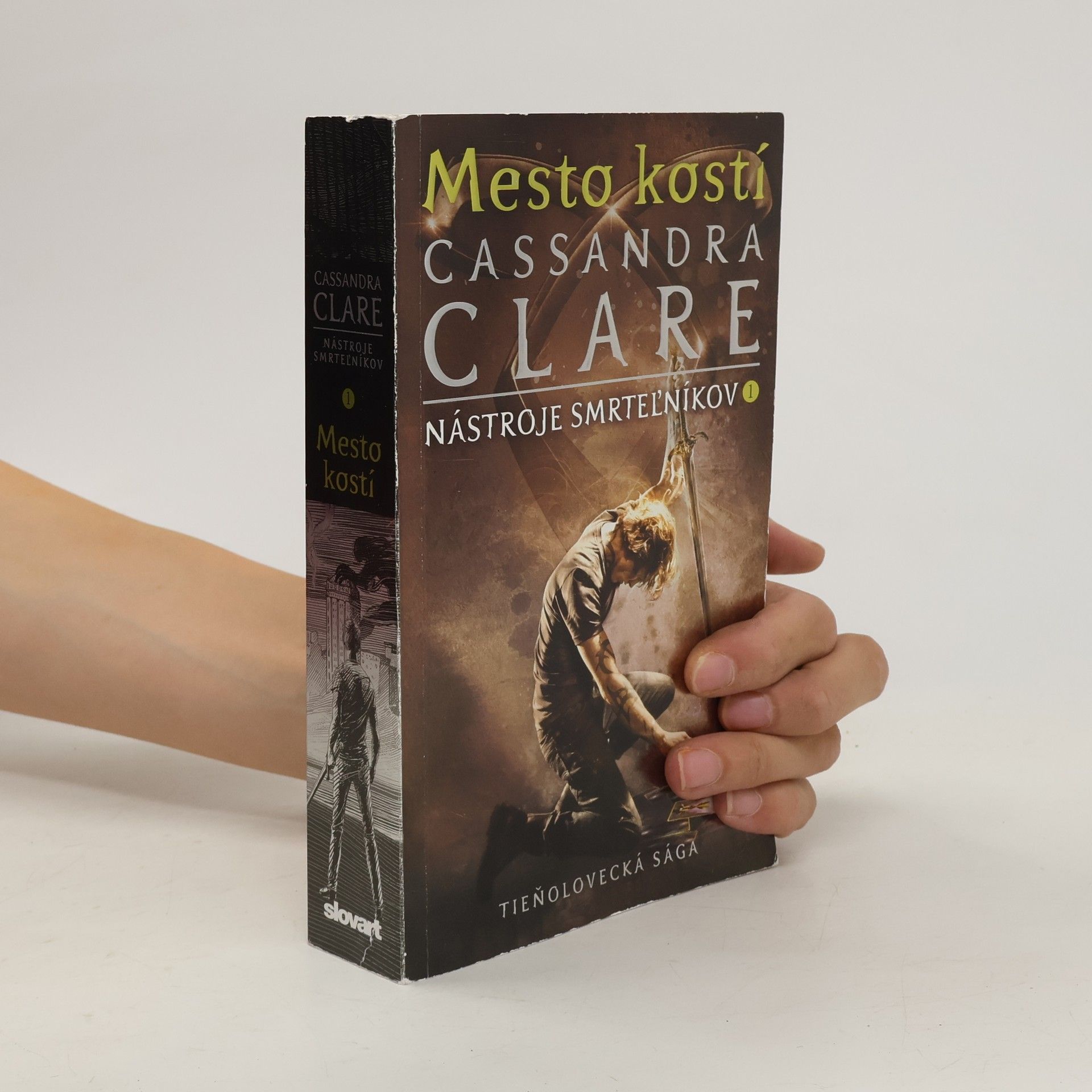 Cassandra Clare Mesto kostí