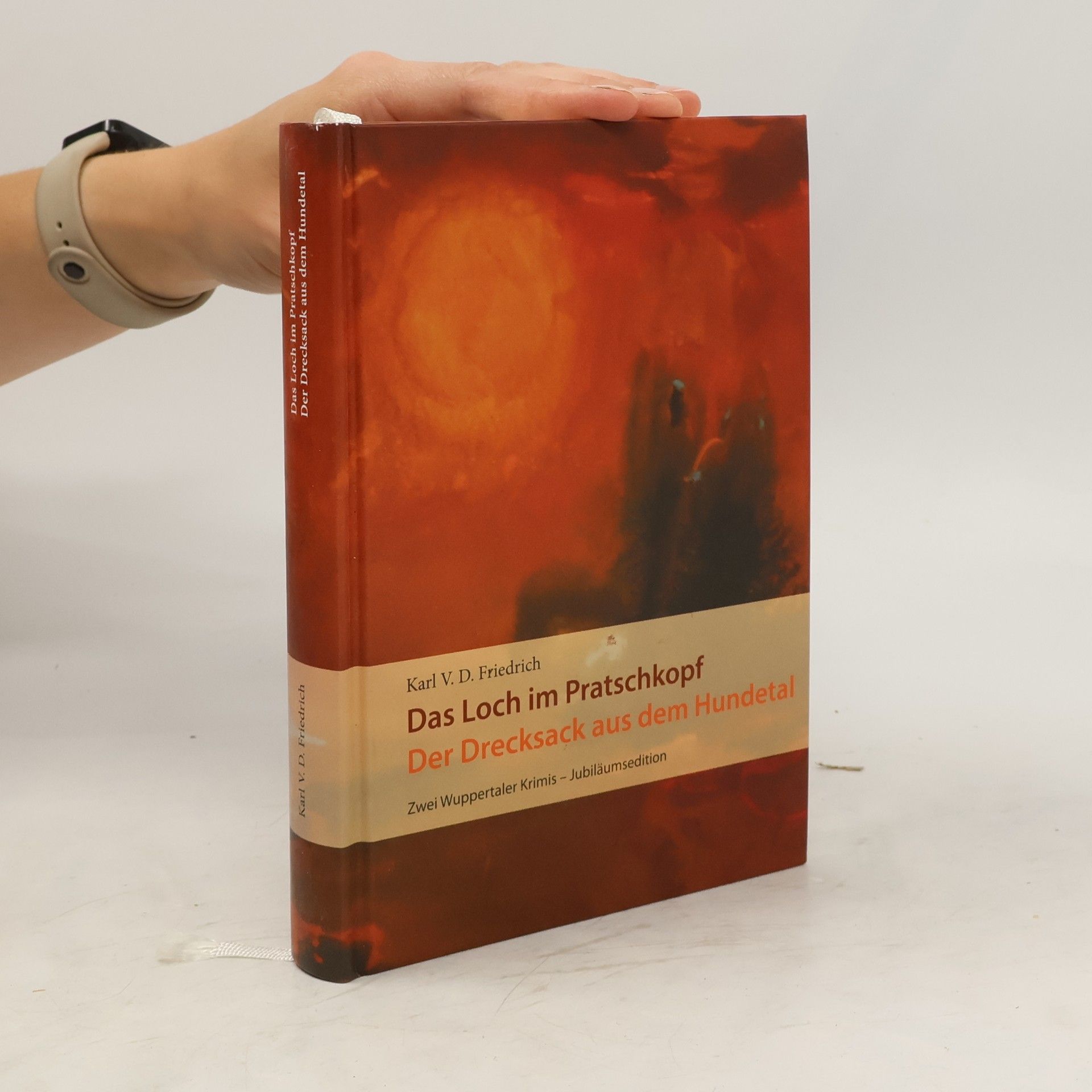 Karl V.D. Friedrich Das Loch im Pratschkopf