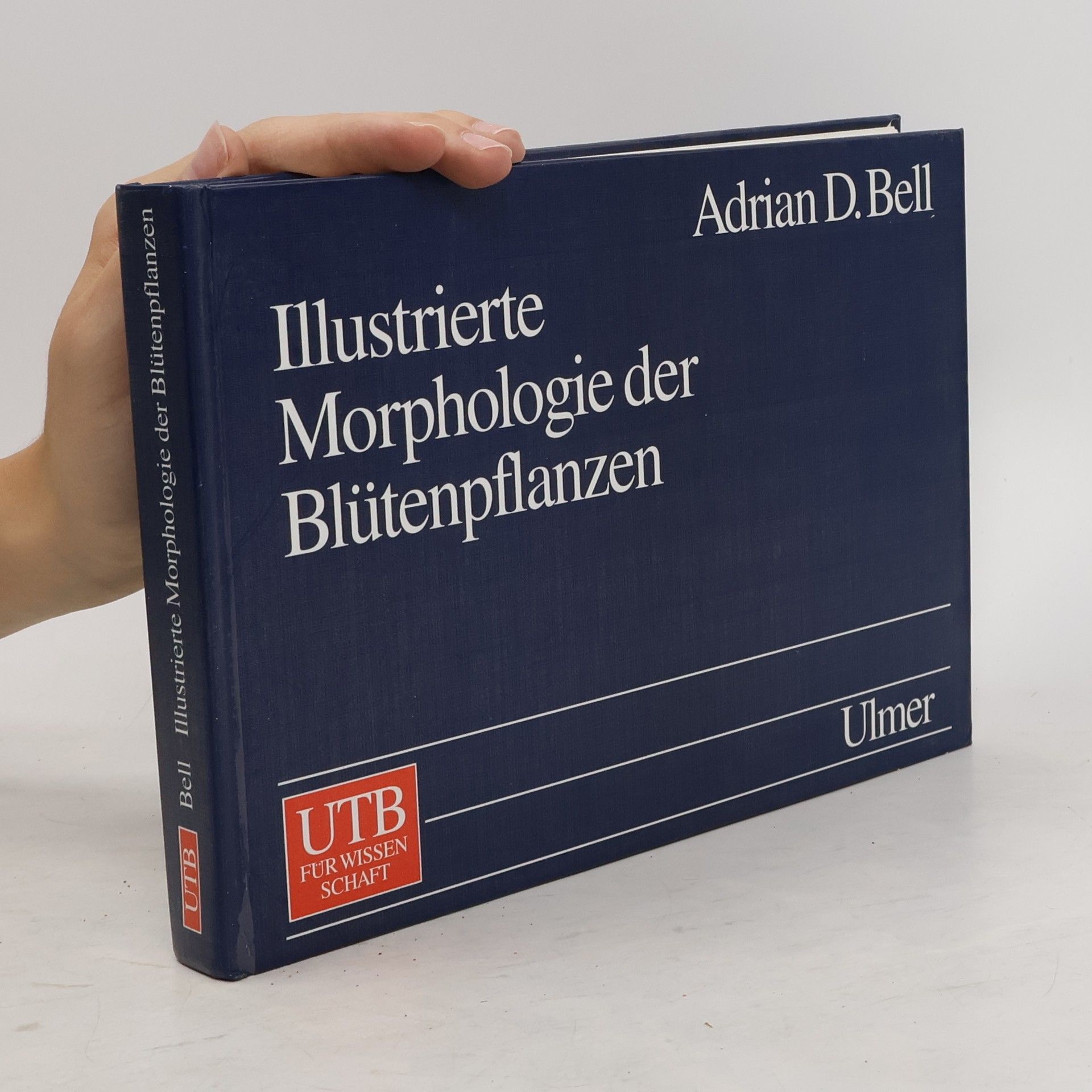 Adrian D Bell Illustrierte Morphologie der Blütenpflanzen
