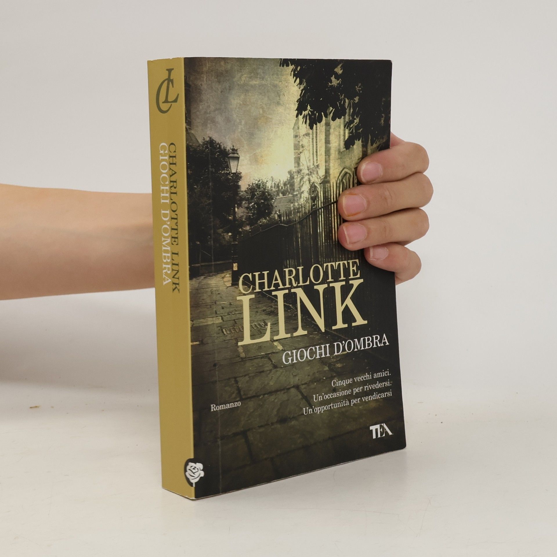 Charlotte Link Giochi d'ombra