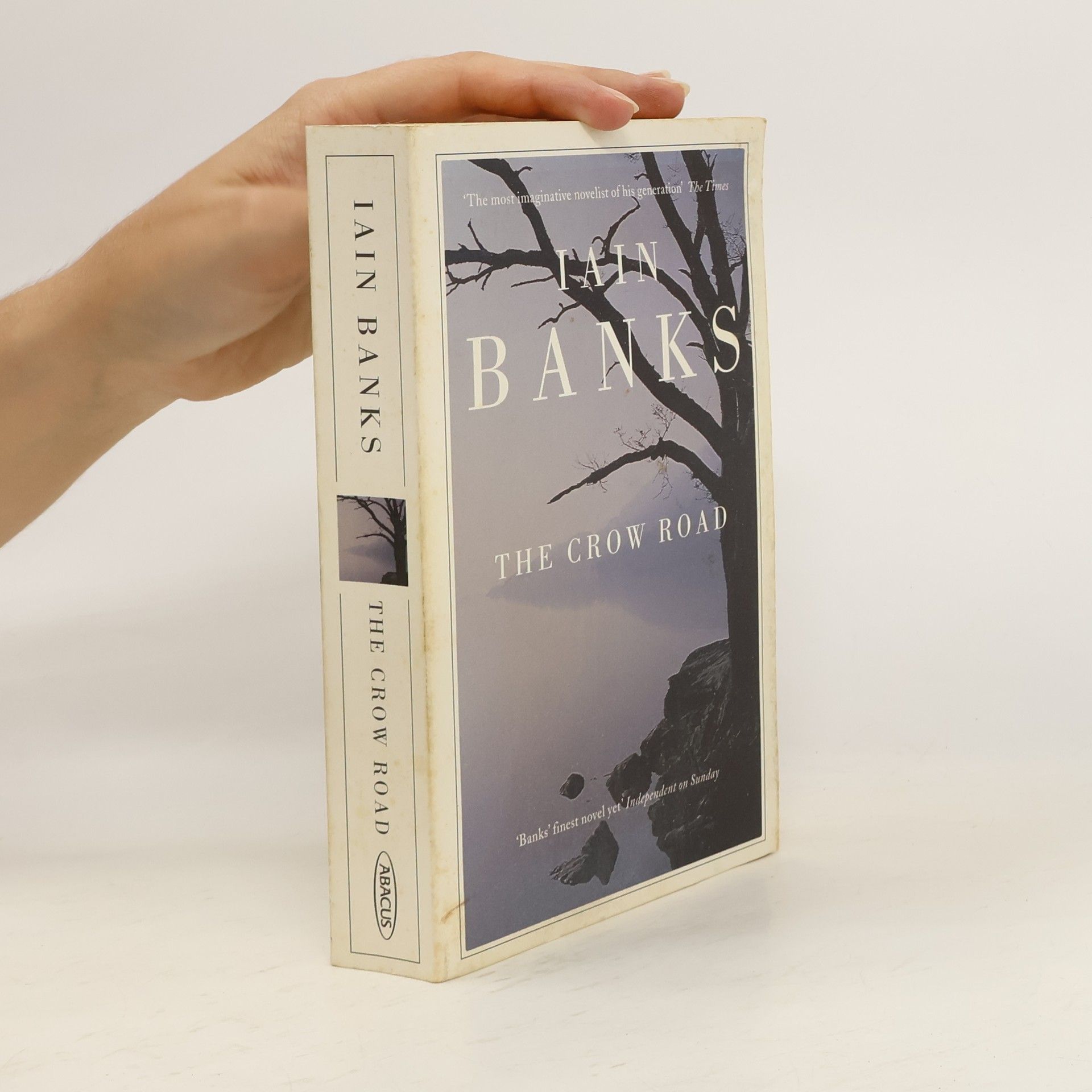 Iain Banks The Crow Road