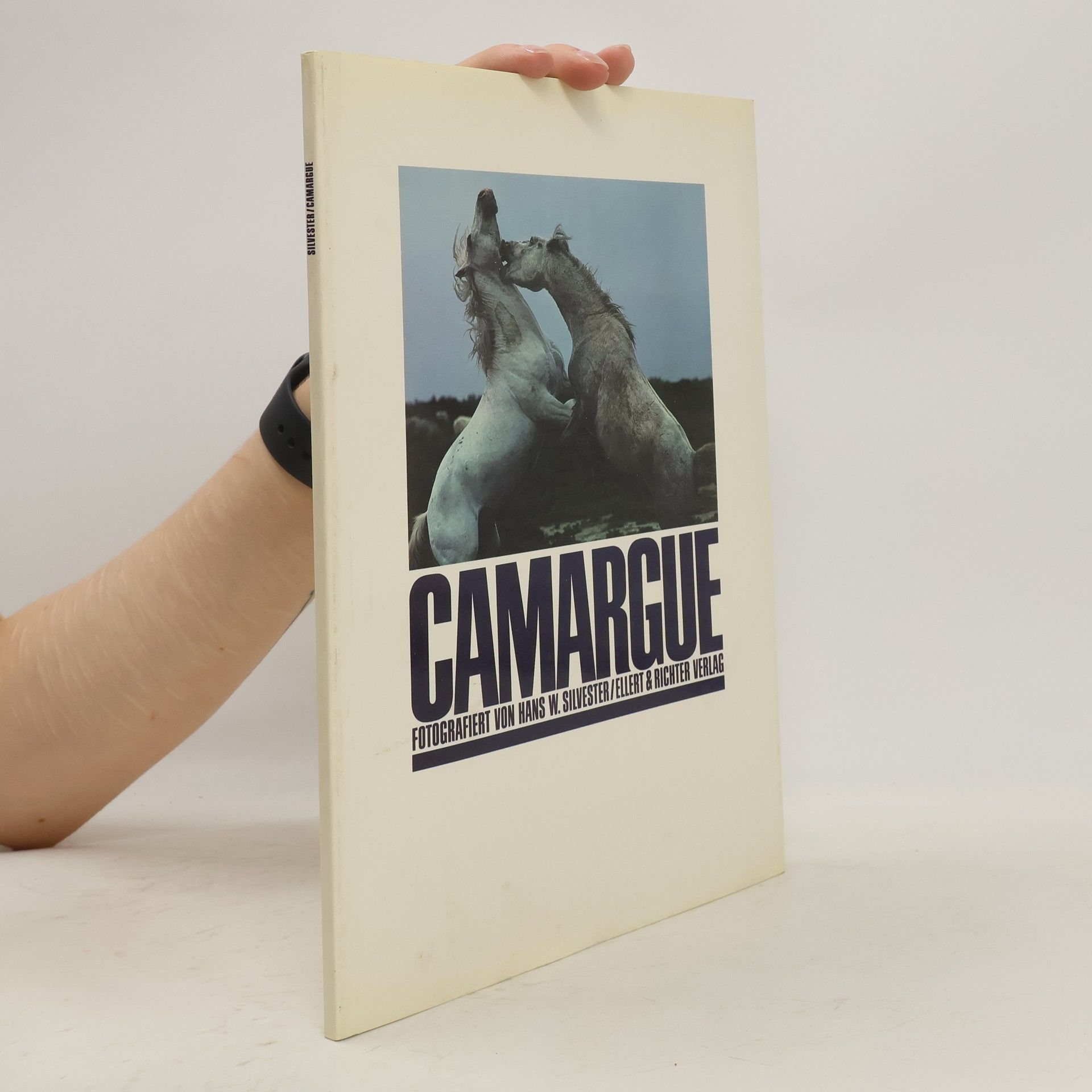 Collectif d'auteurs Camargue