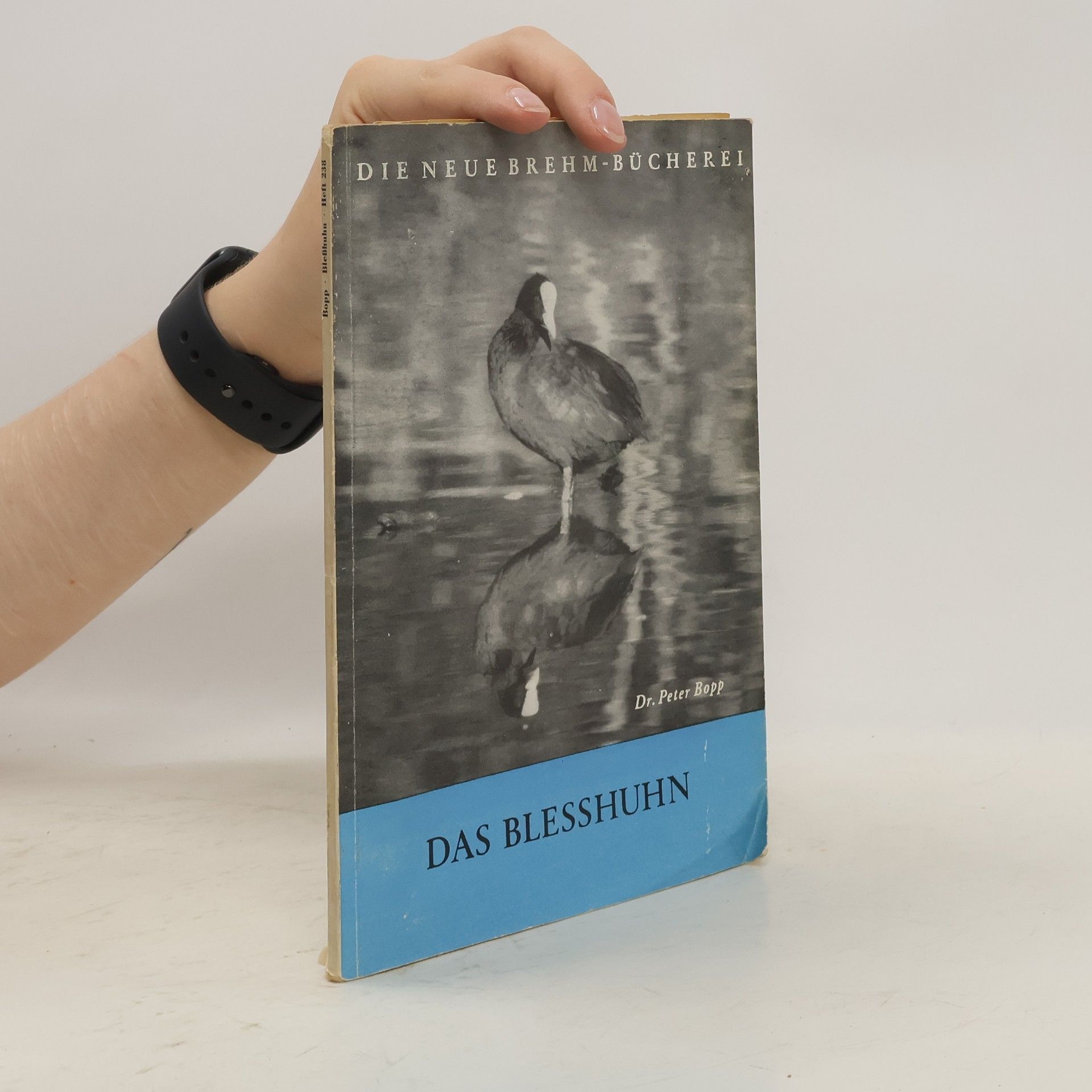 Peter Bopp Das Blesshuhn