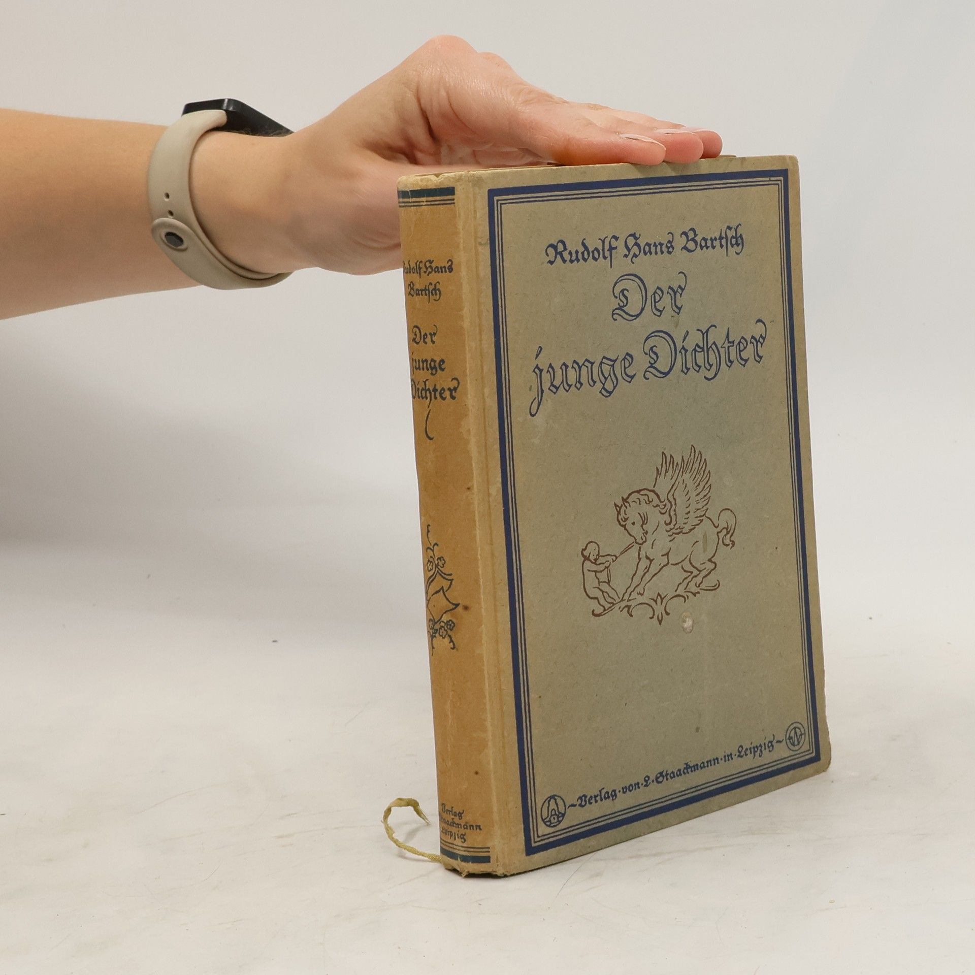 Rudolf hans Bartsch Der junge Dichter