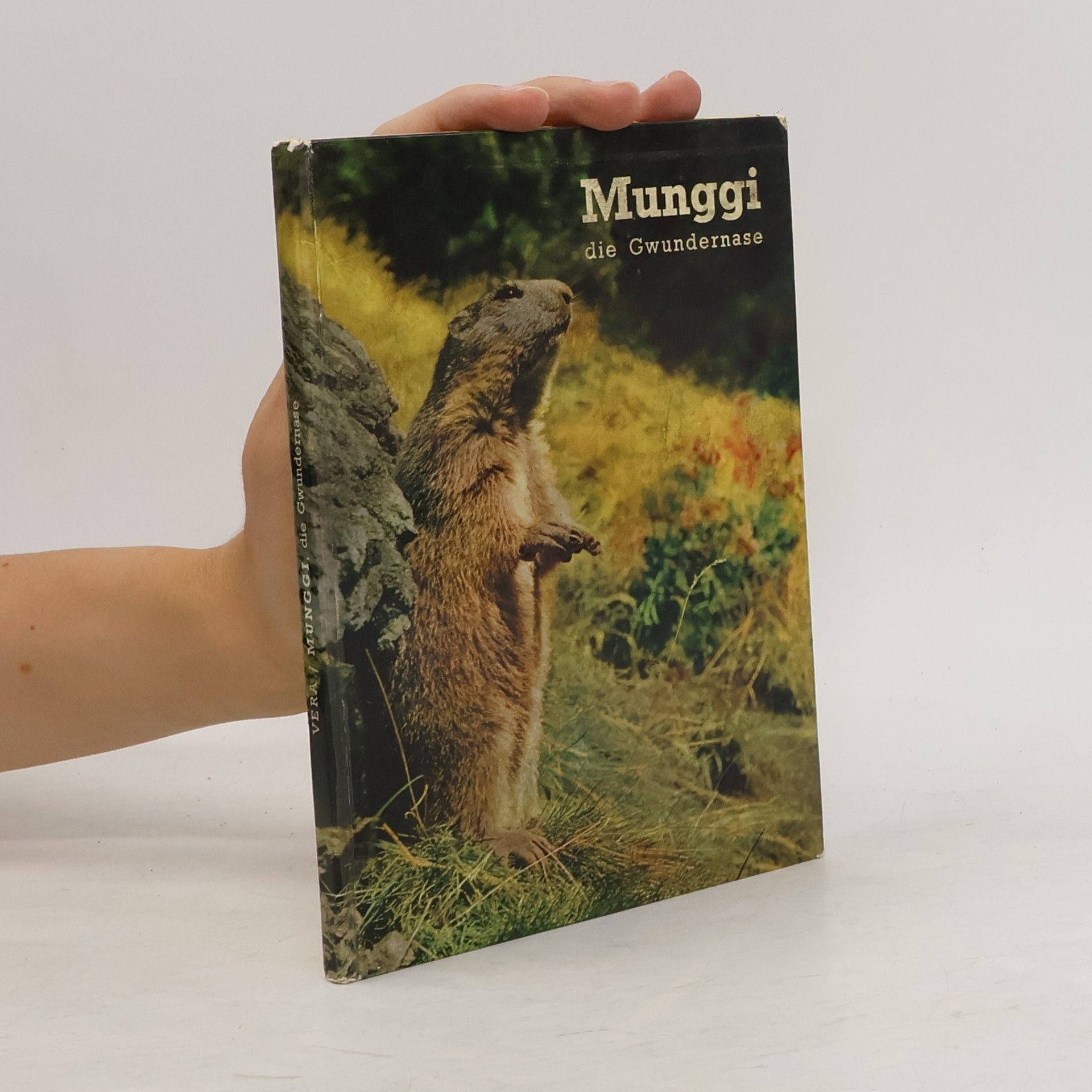 AA.VV. Munggi die Gwundernase