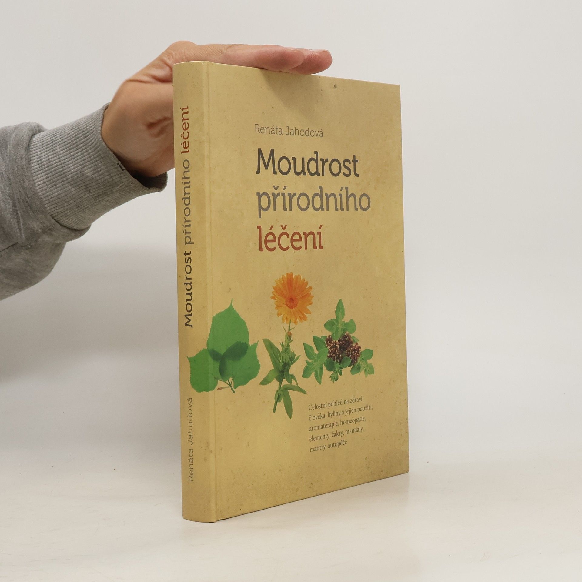 Renáta Jahodová Moudrost přírodního léčení