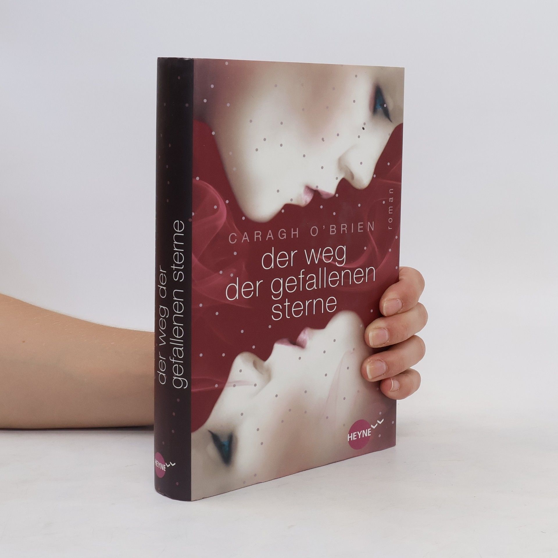 Caragh O. Brien Der Weg der gefallenen Sterne