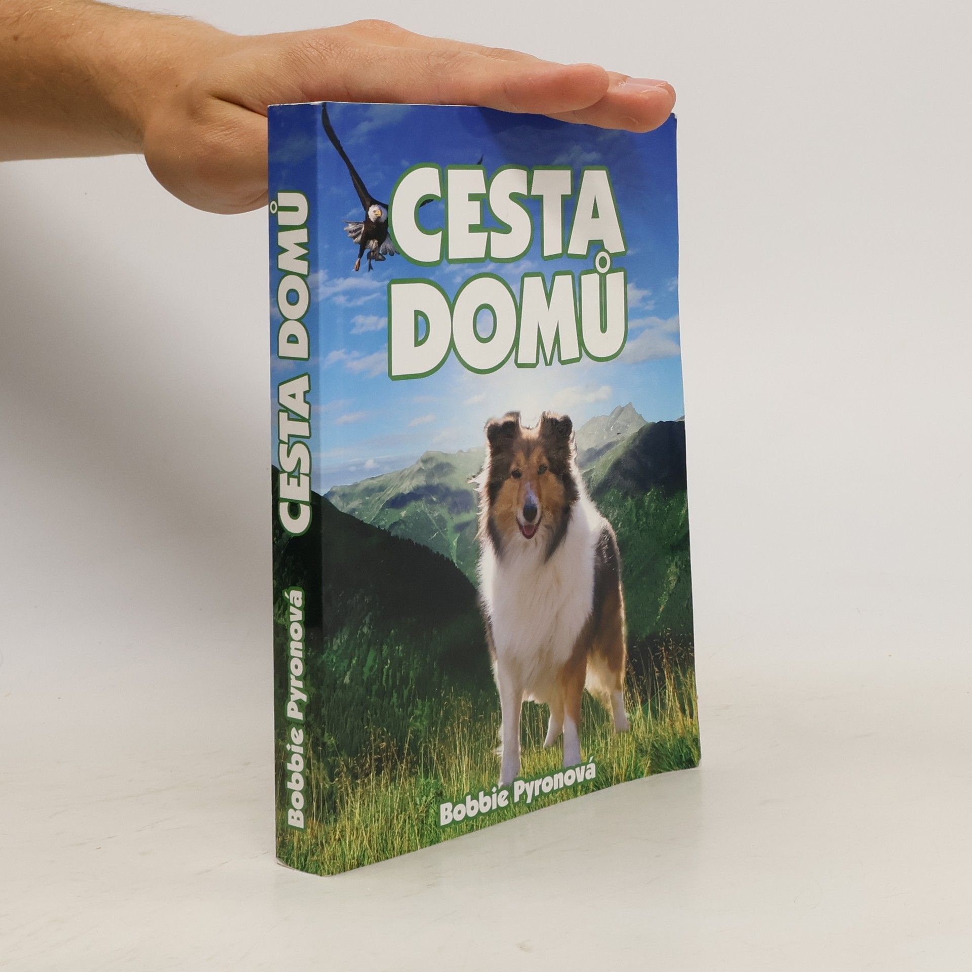 Bobbie Pyron Cesta domů