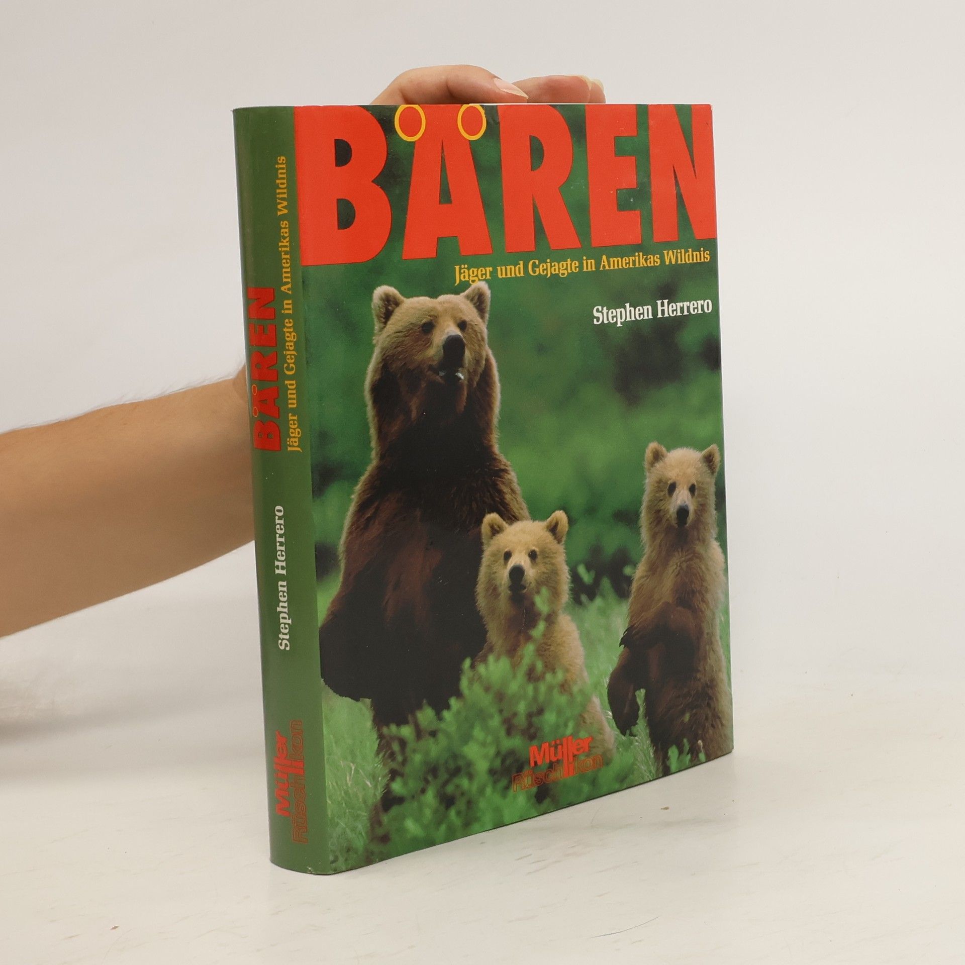 Stephen Herrero Bären