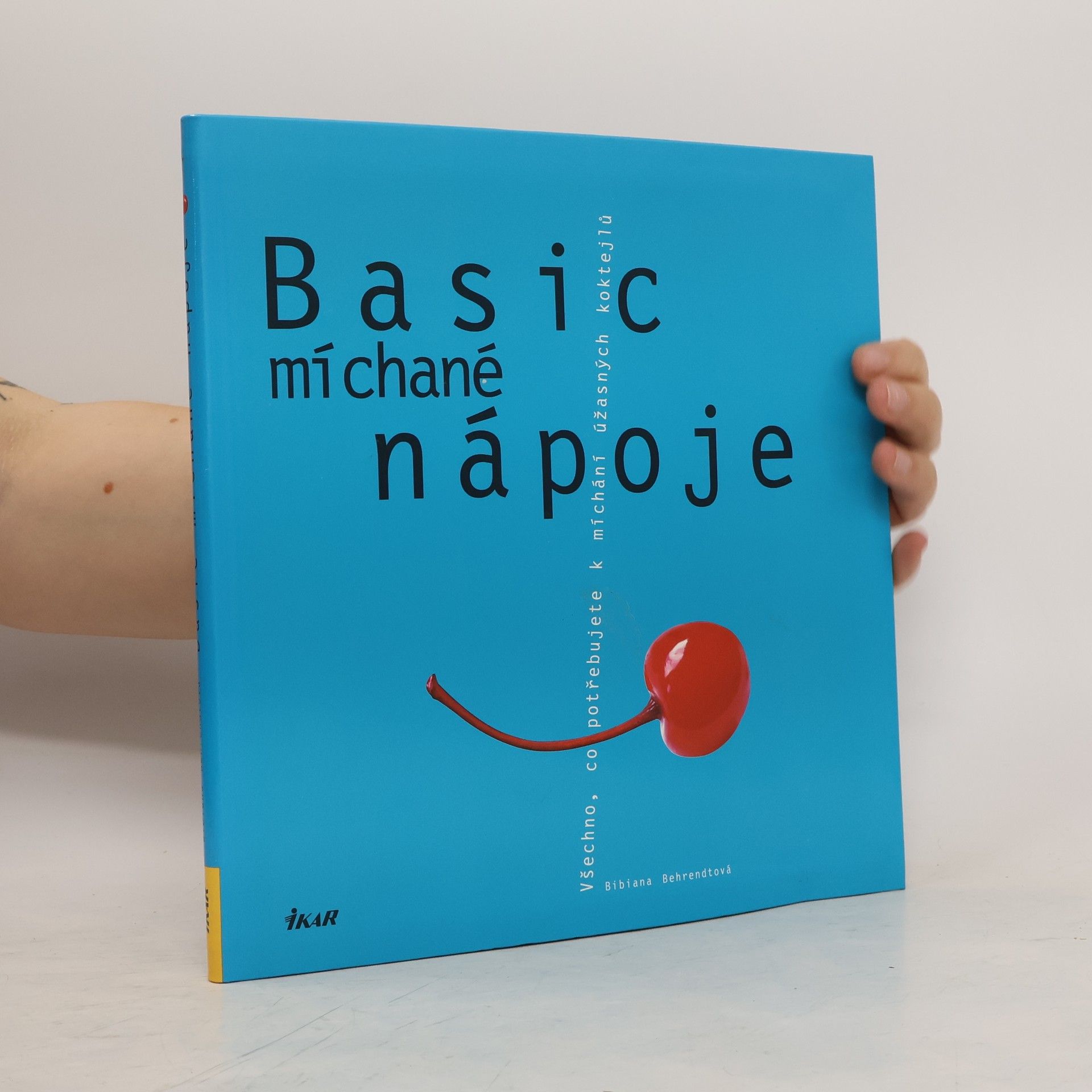 Bibiana Behrendt Basic míchané nápoje. Všechno, co potřebujete k míchání úžasných koktejlů
