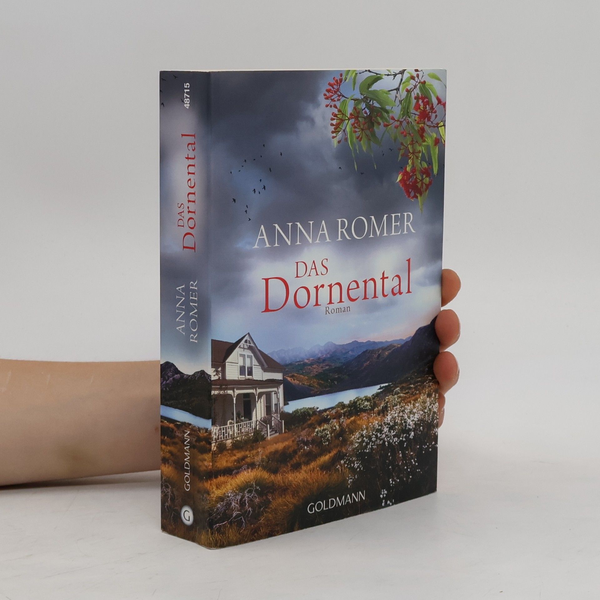 Roberto de Hollanda Das Dornental : roman