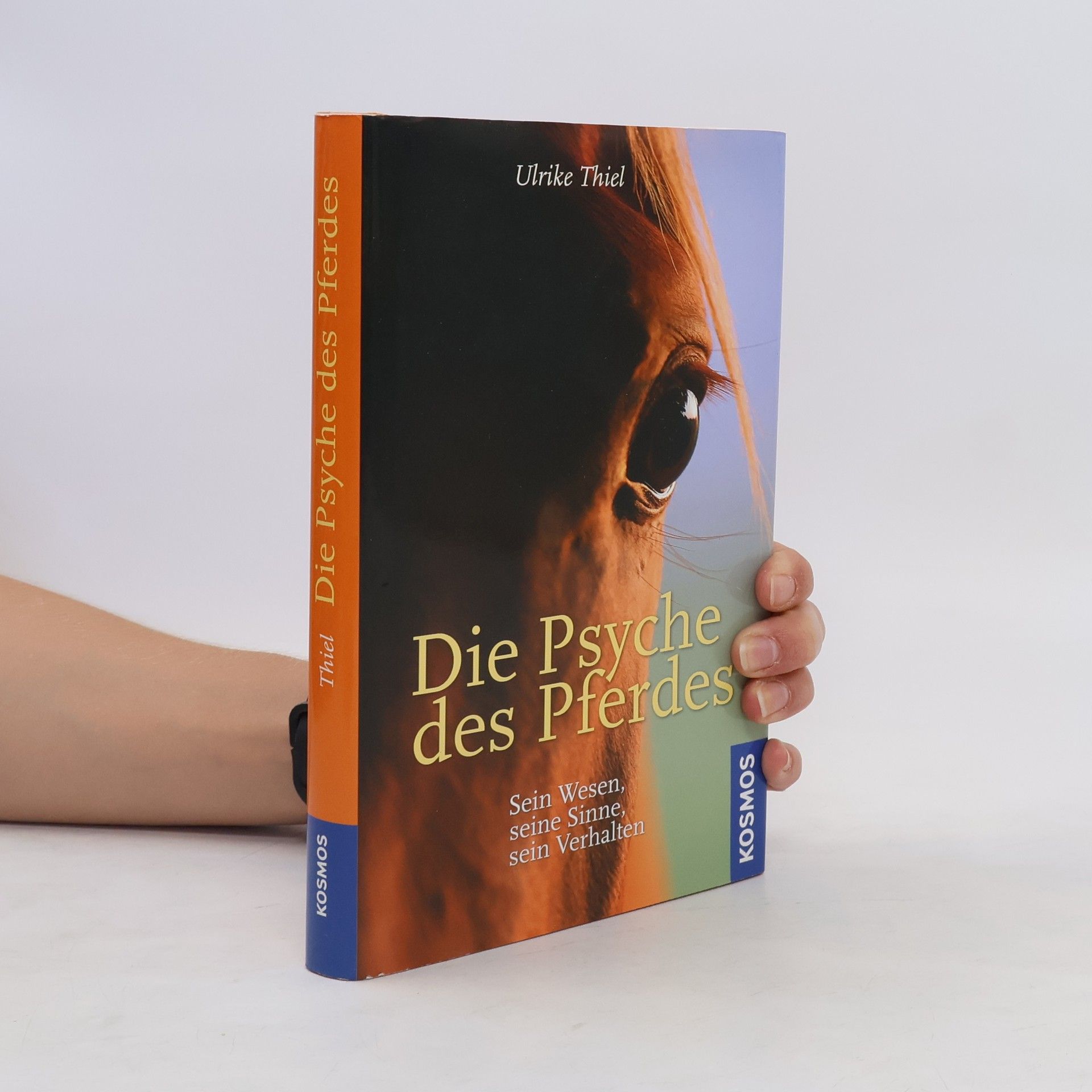 Ulrike Thiel Die Psyche des Pferdes