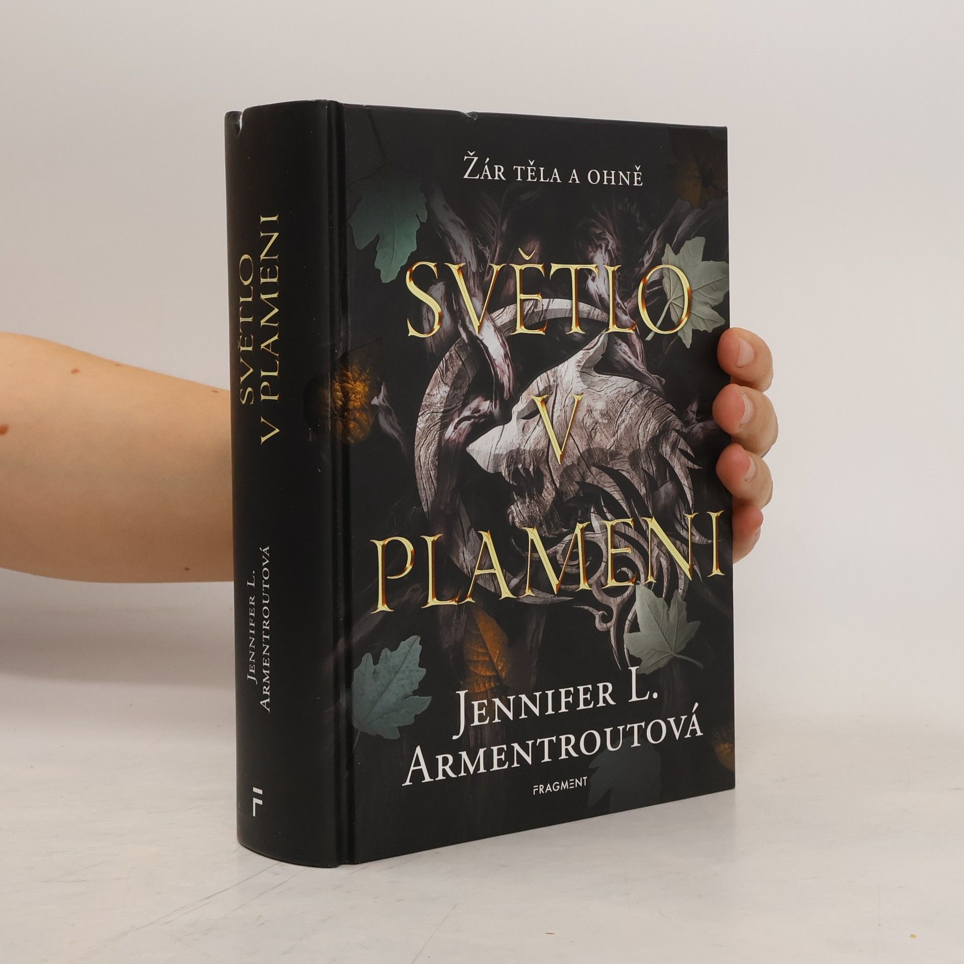 Kateřina Hejnová Světlo v plameni