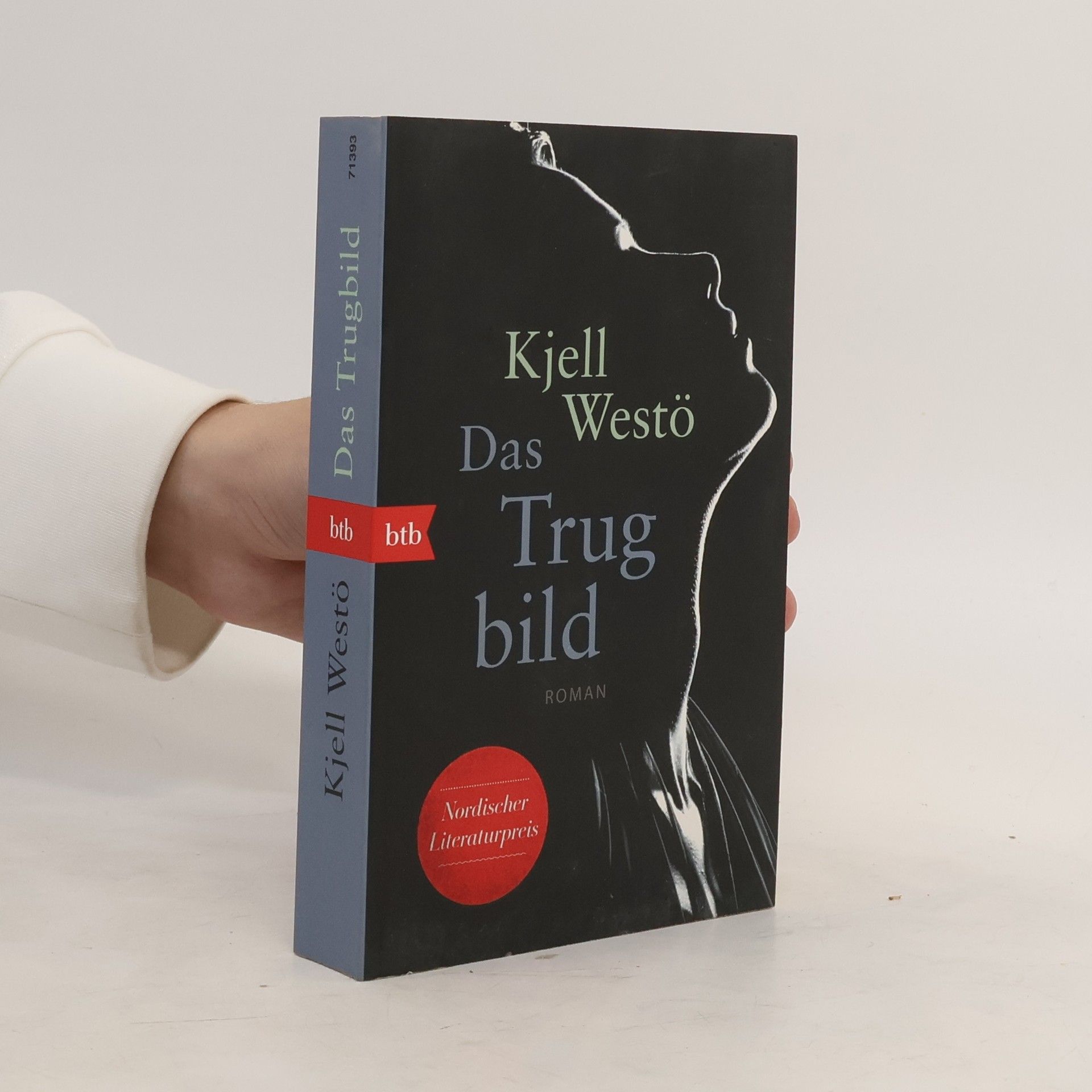 Kjell Westö Das Trugbild