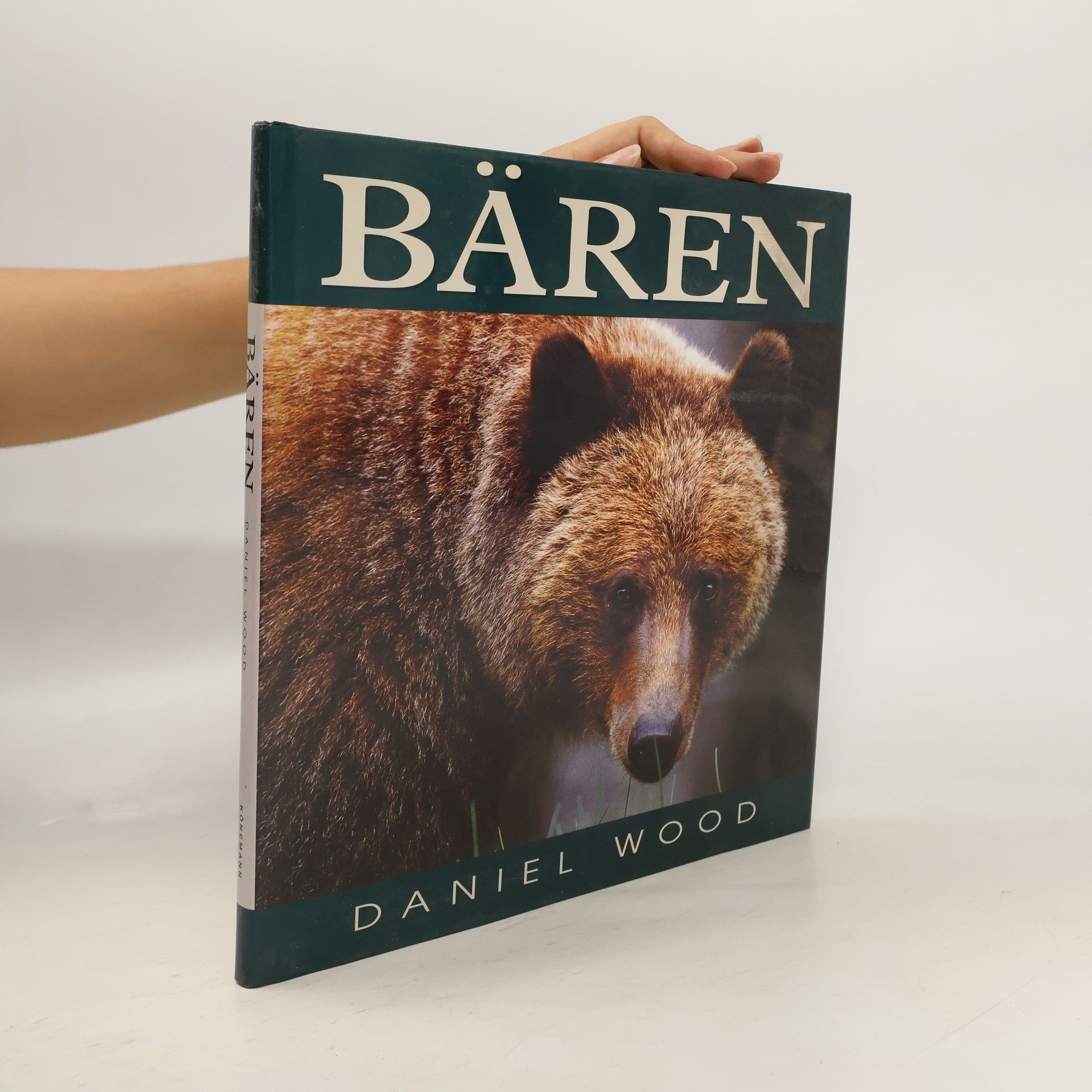 Daniel Wood Bären