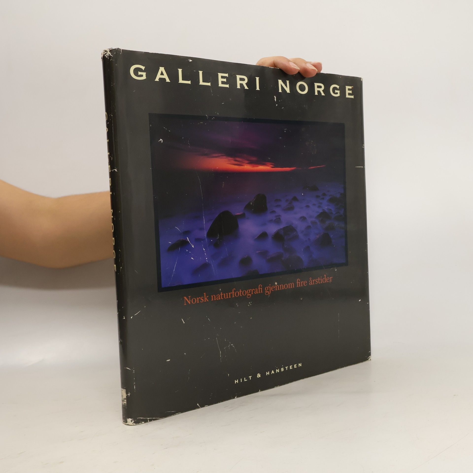Ragnar Frislid Galleri Norge
