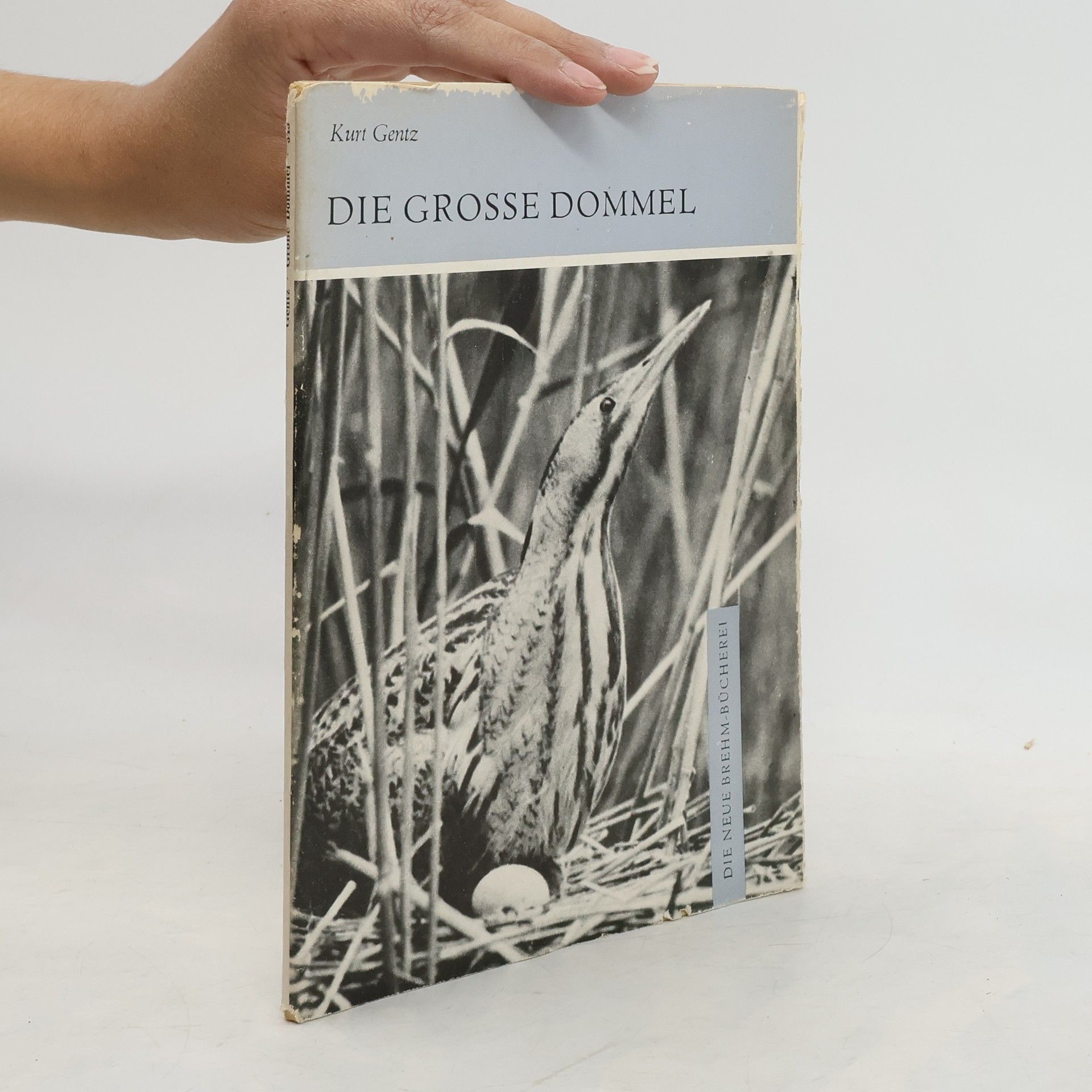 Kurt Gentz Die grosse Dommel