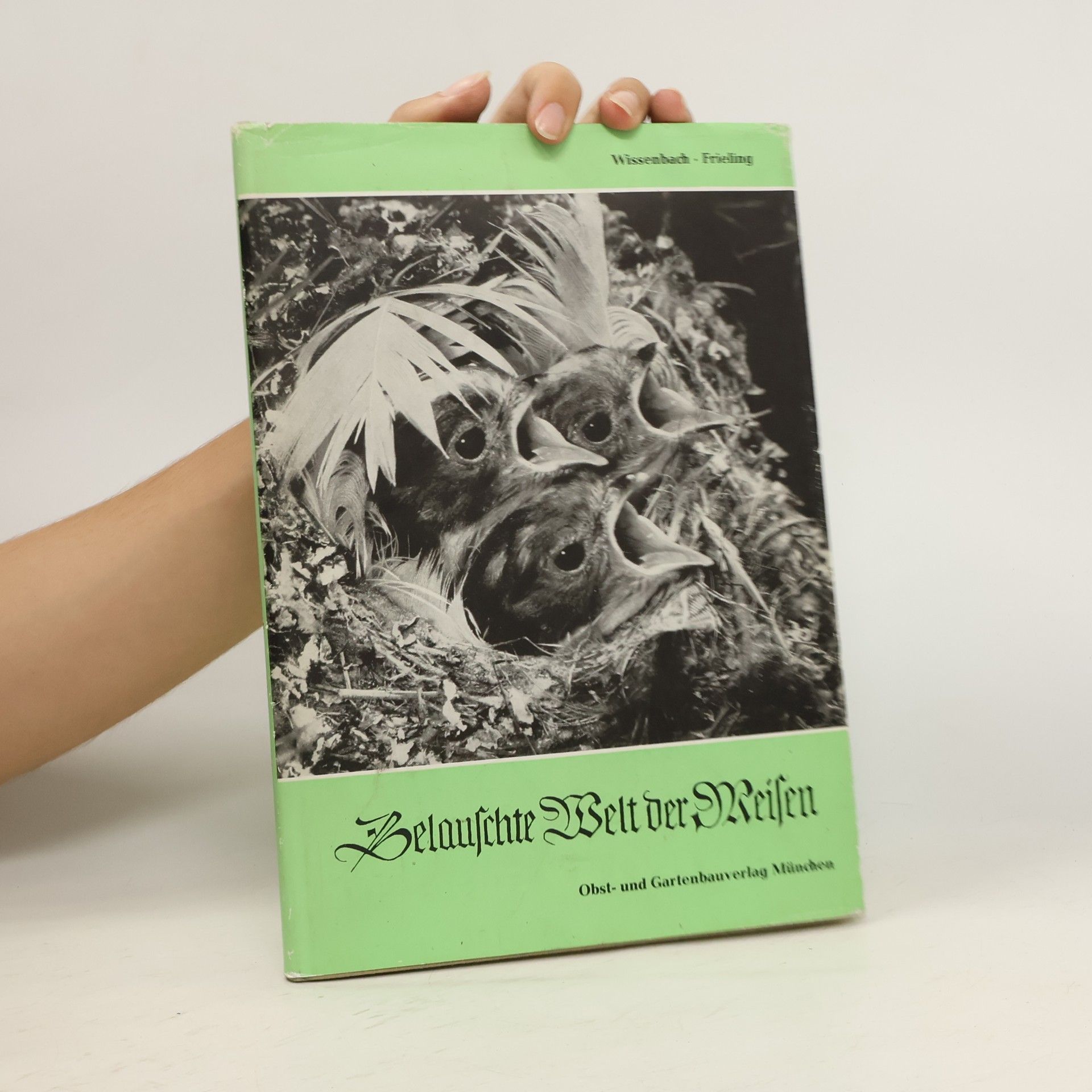 Belauschte Weit Welt der Meisen