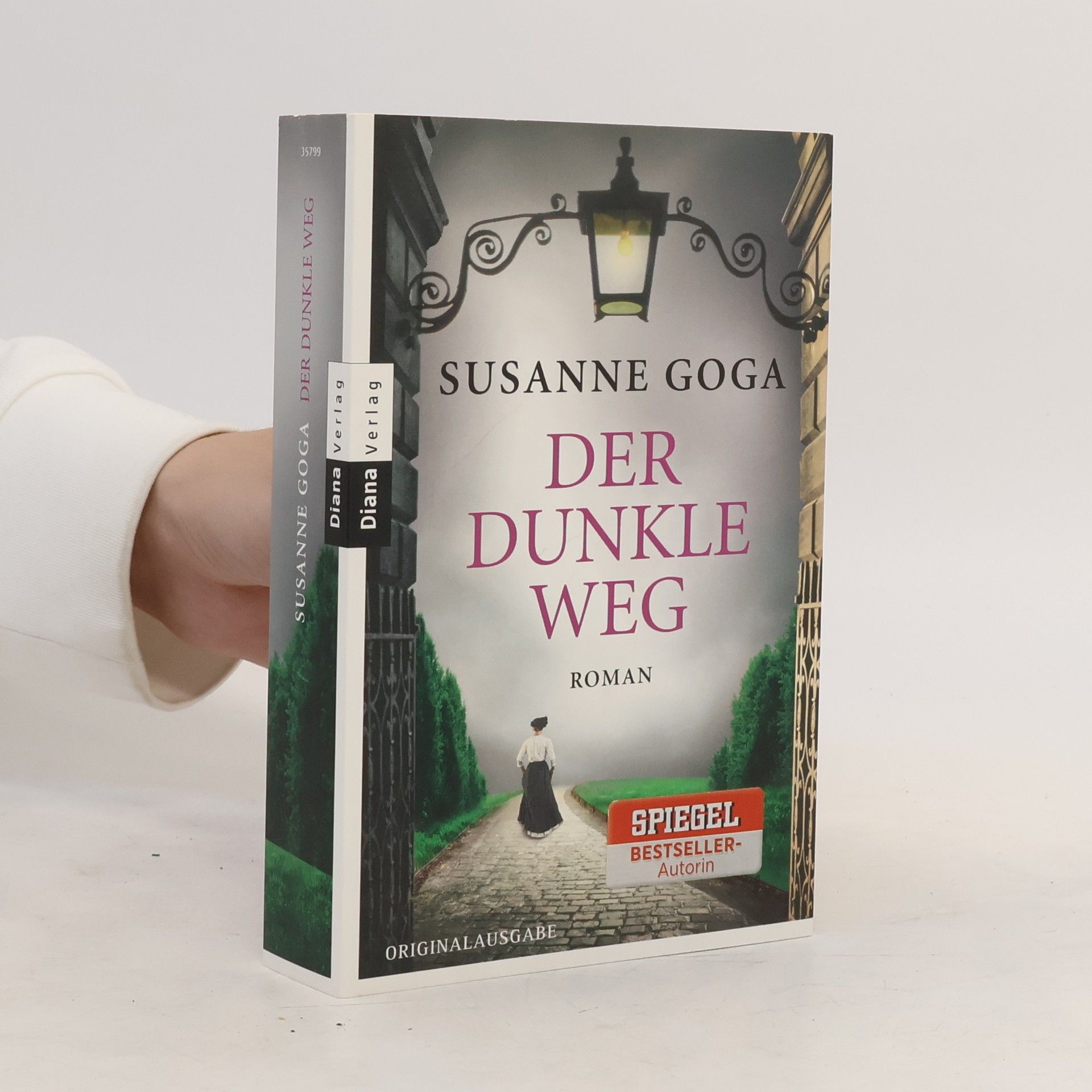 Susanne Goga Der dunkle Weg